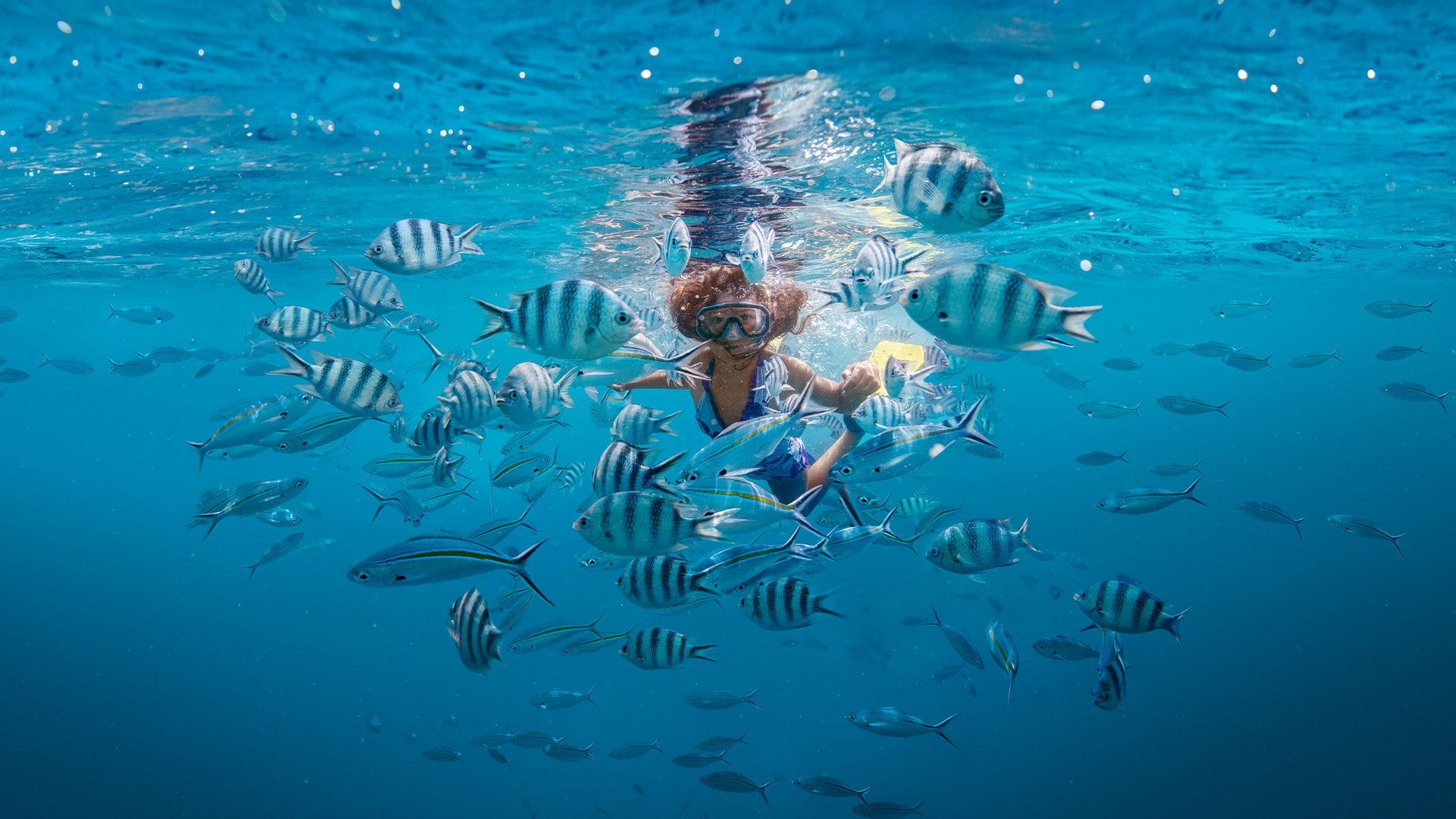 girl snorkelling under the water with tropical fish
