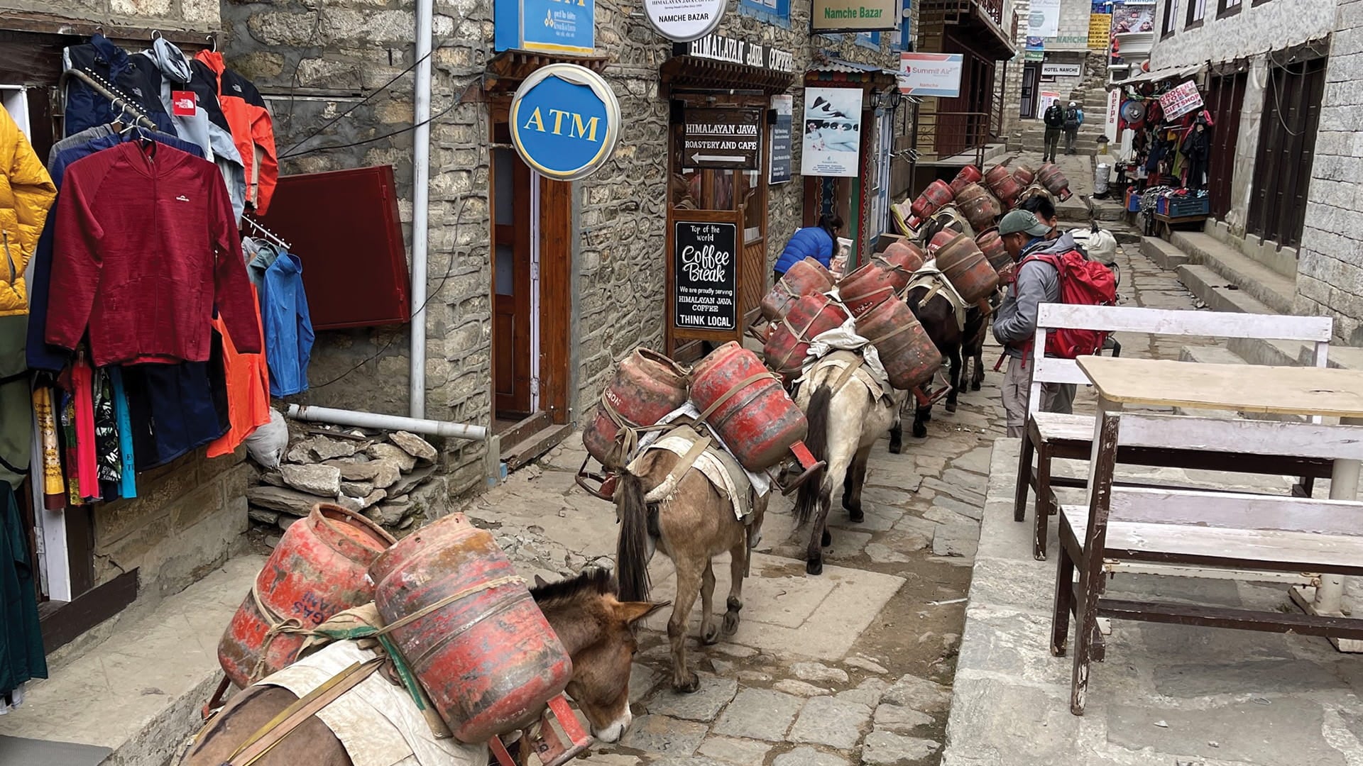 yaks with propane tanks tied to them passing through a city street