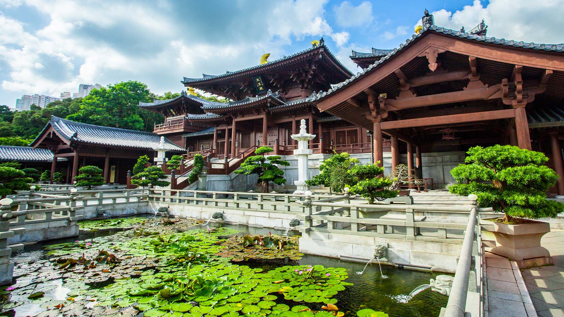 A Chinese temple with lily pads and decorative shrubs in Hong Kong