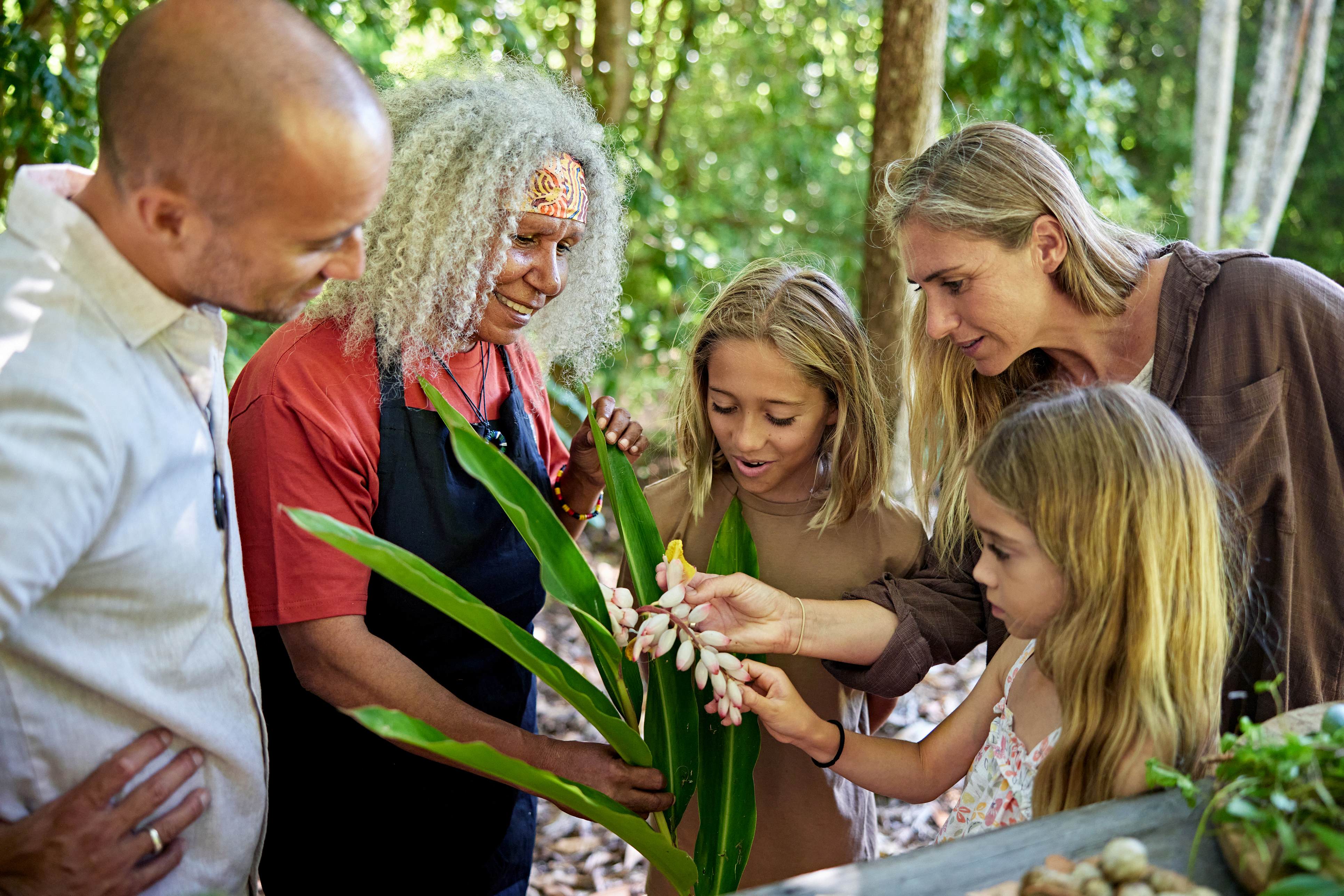 amily experiencing galangal flowers with bush tucker guide stock photo