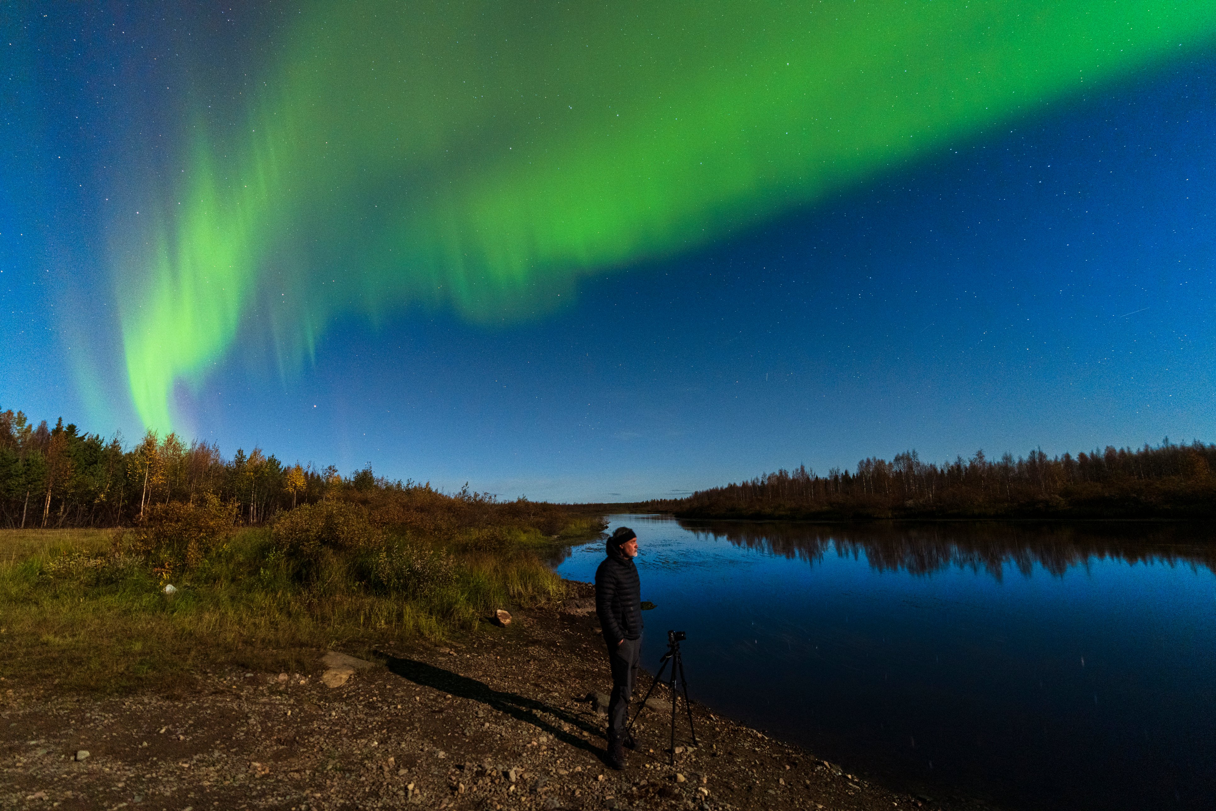 Tourist admires amazing aurora borealis (northern lights) displayed in a green belt in the blue sky, Finnish Lapland, Finland
