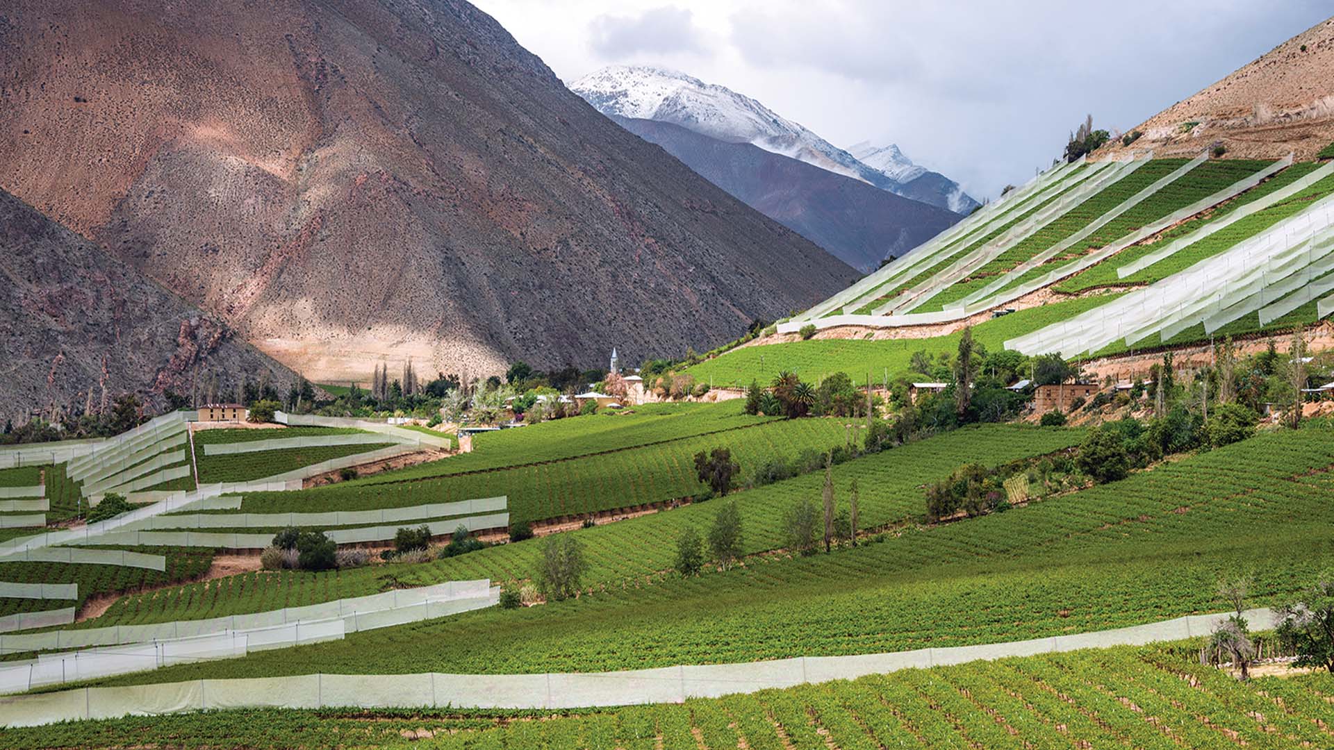 Panoramic view of vineyards and countryside in the Chilean central valley