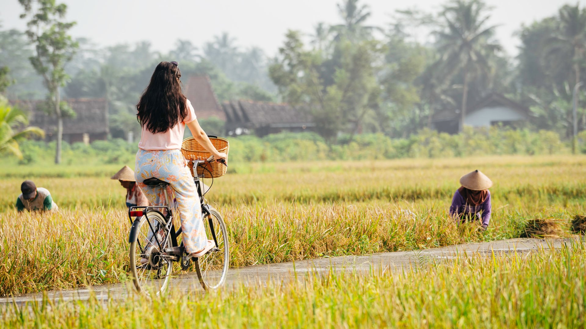 A young woman cycling through rice paddies in Bali.