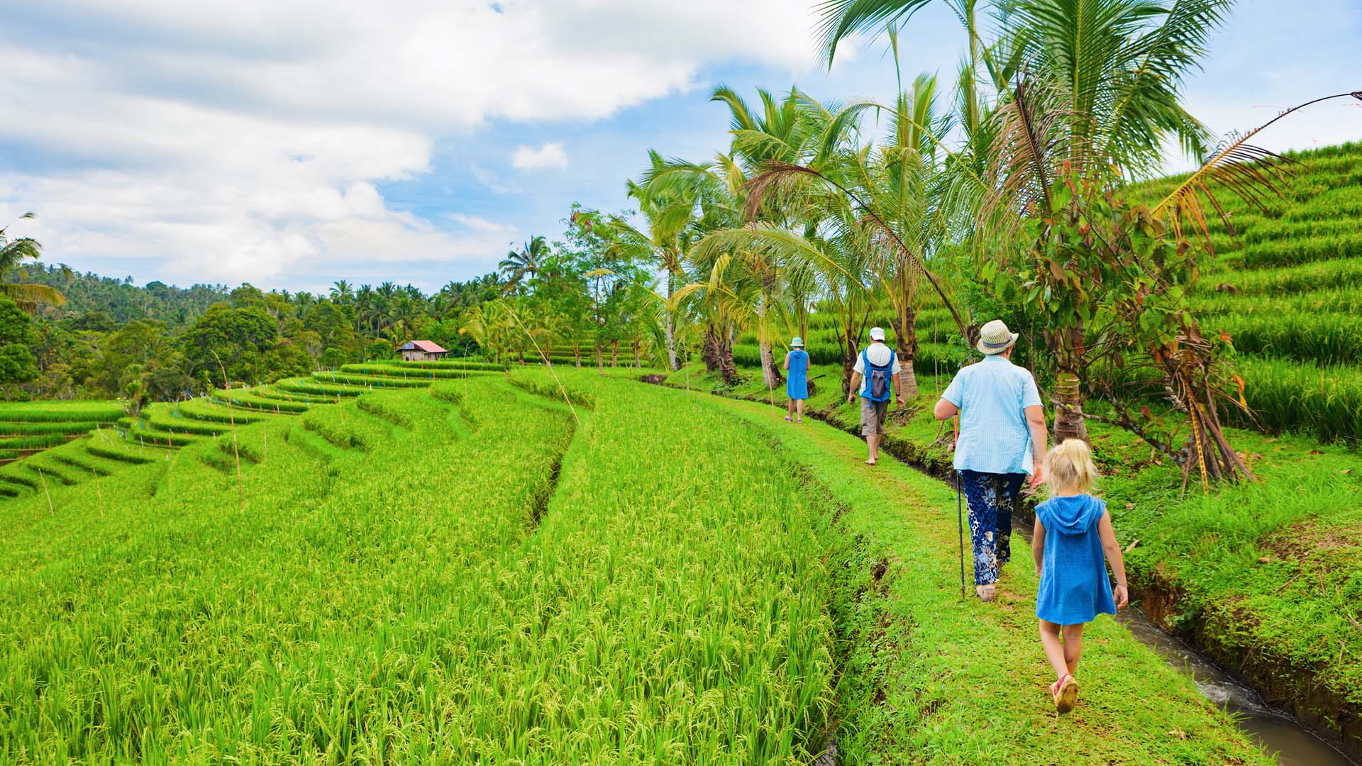 A family walking through a rice paddy in Bali.