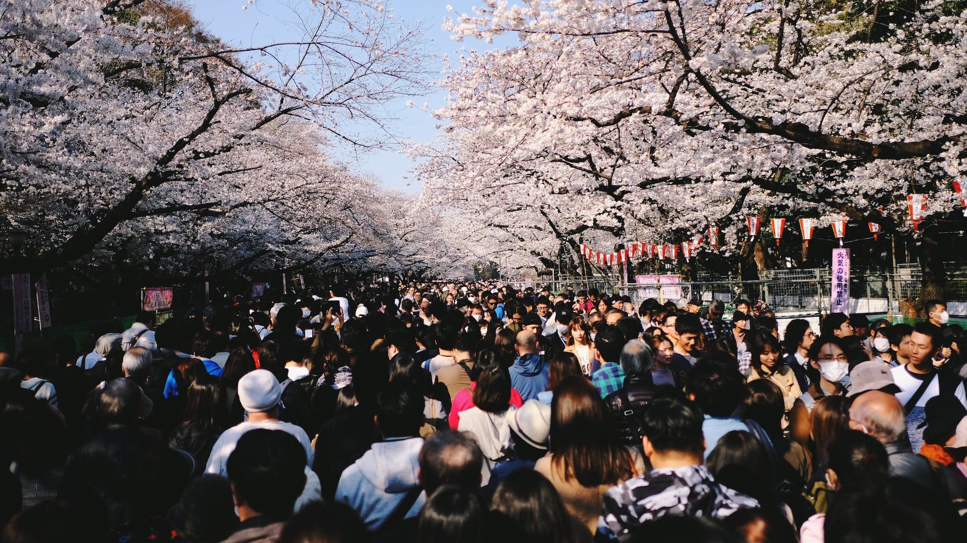 Hanami crowds in Tokyo