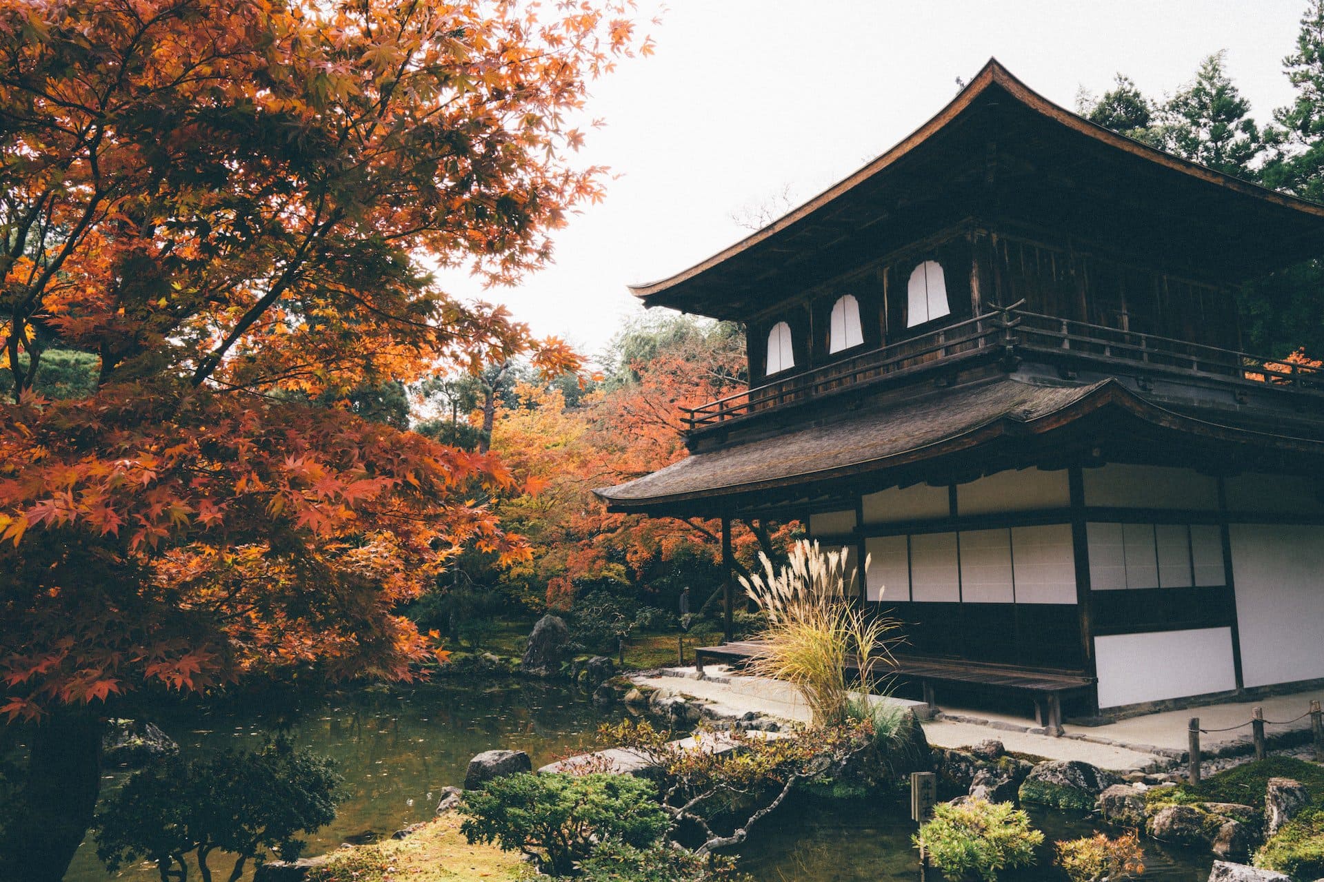 Kyoto in fall