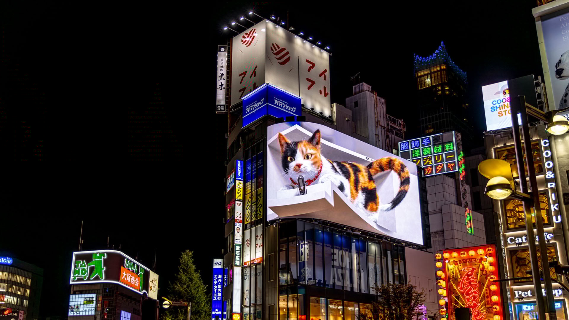 A holographic ad of a cat in Shinjuku in Tokyo Japan