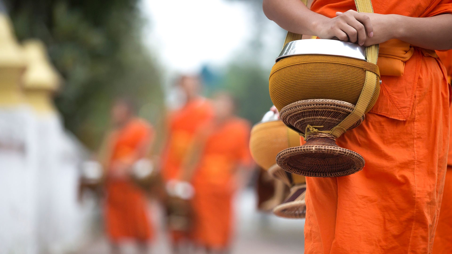 Buddhist monks in orange robes accepting alms in Luang Prabang, Laos.