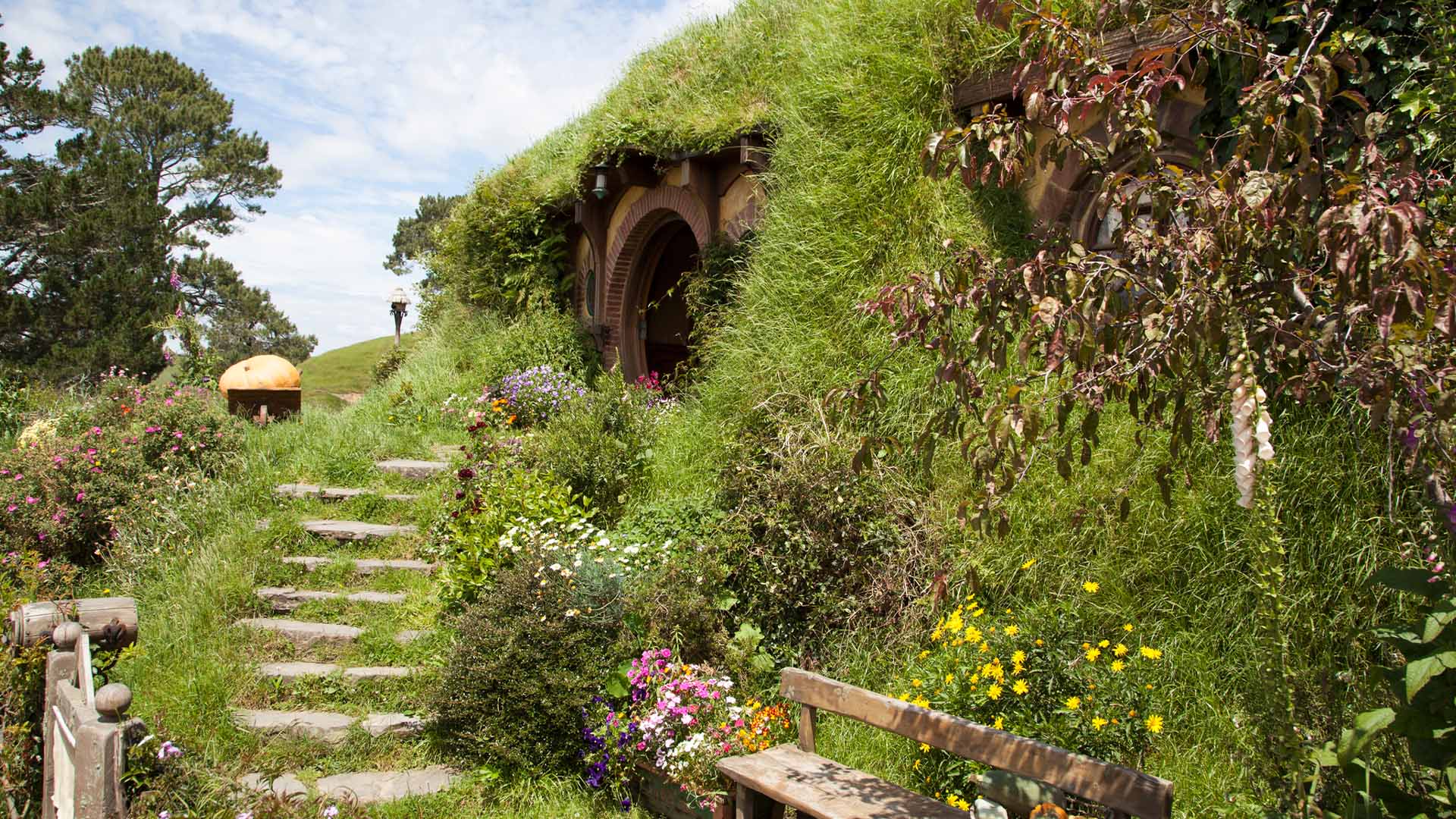 A hobbit hole at the Hobbiton Movie Set in New Zealand