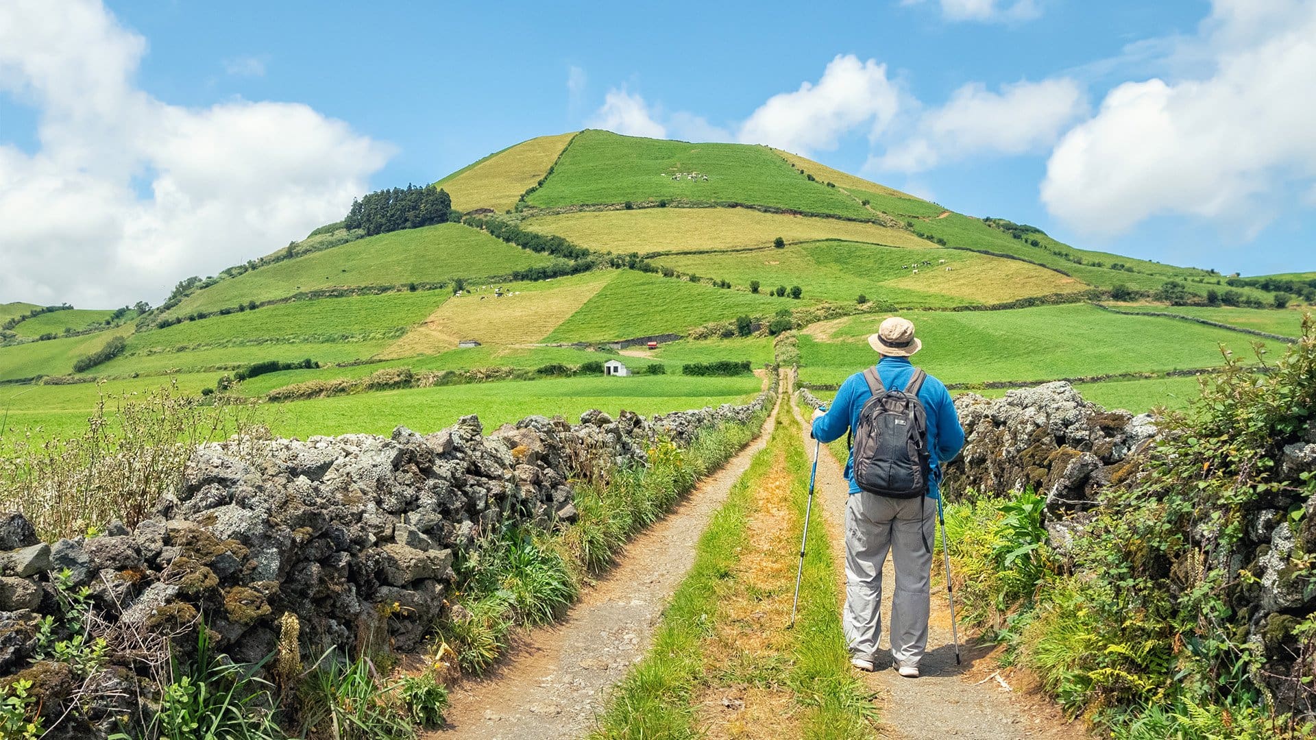 man with hiking poles walking on path alongside green terraces
