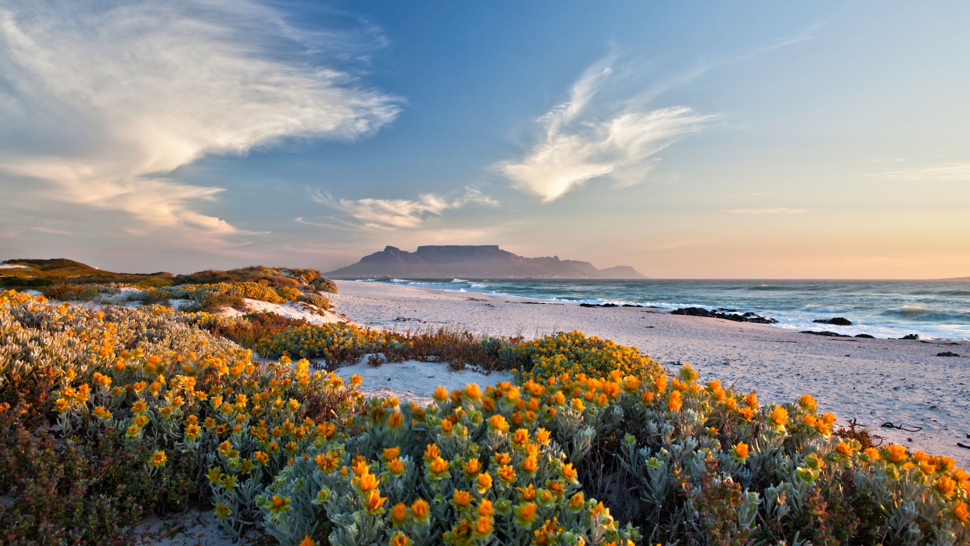 View of Table Mountain from across the water in South Africa