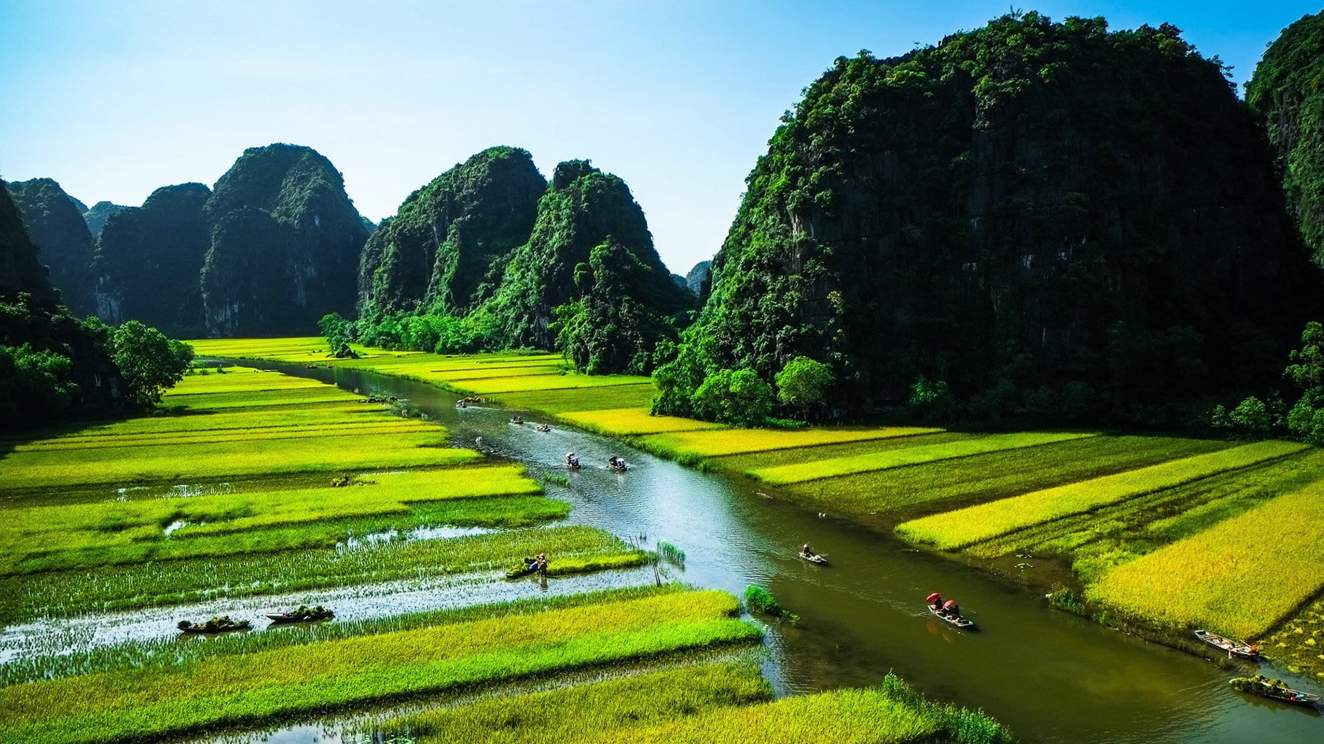 small boats passing through ride paddies along a river