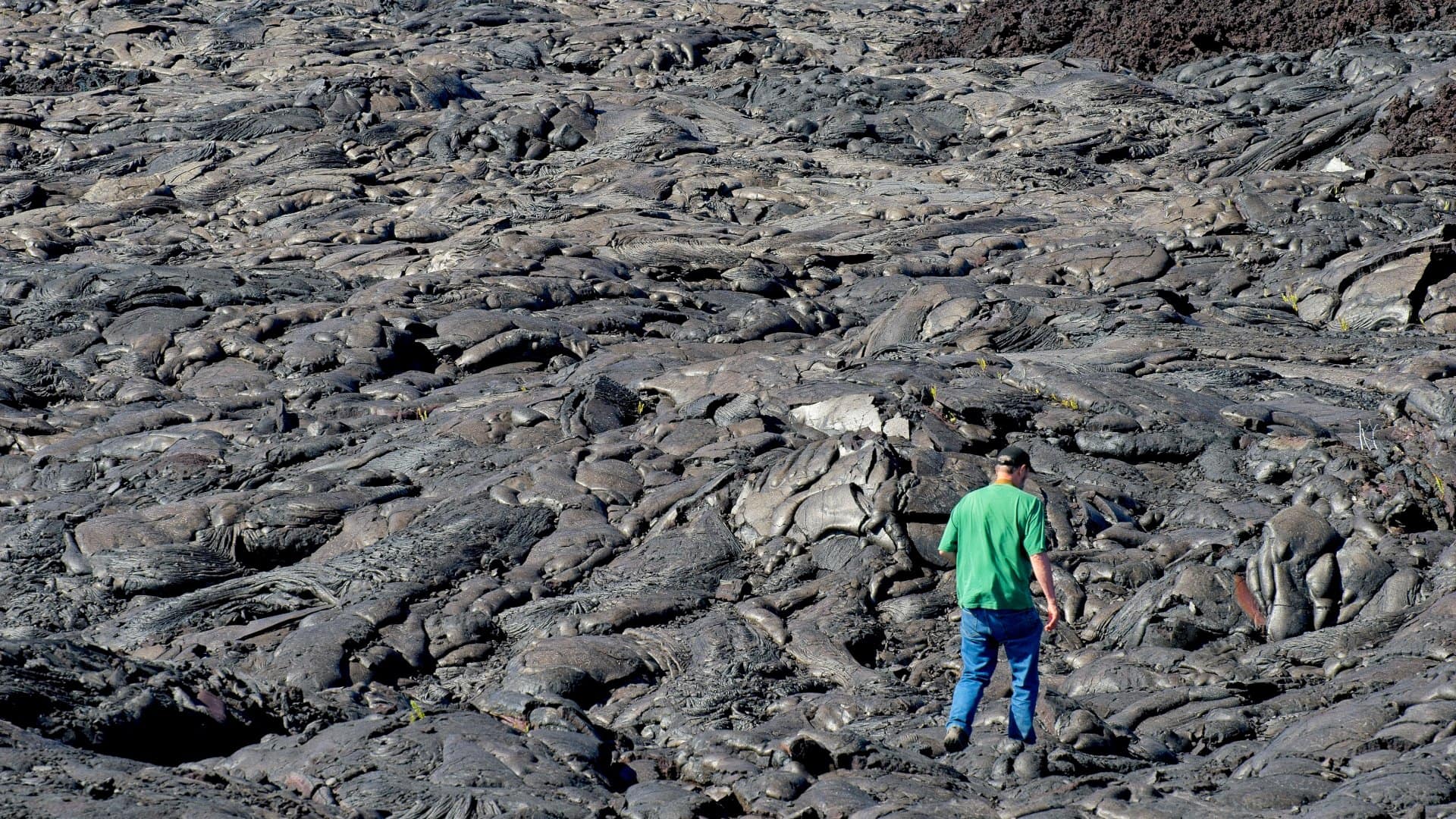 A hiker traverses the vast lava field from the Kilauea volcano at Volcanoes national park Hawaii