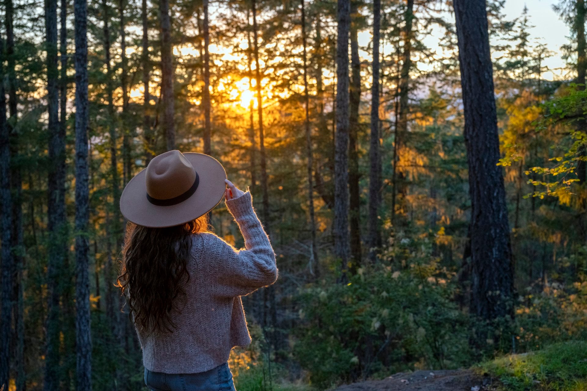 Sunshine Coast Hinterland Hiking Sunshine Coast Hinterland Hiking