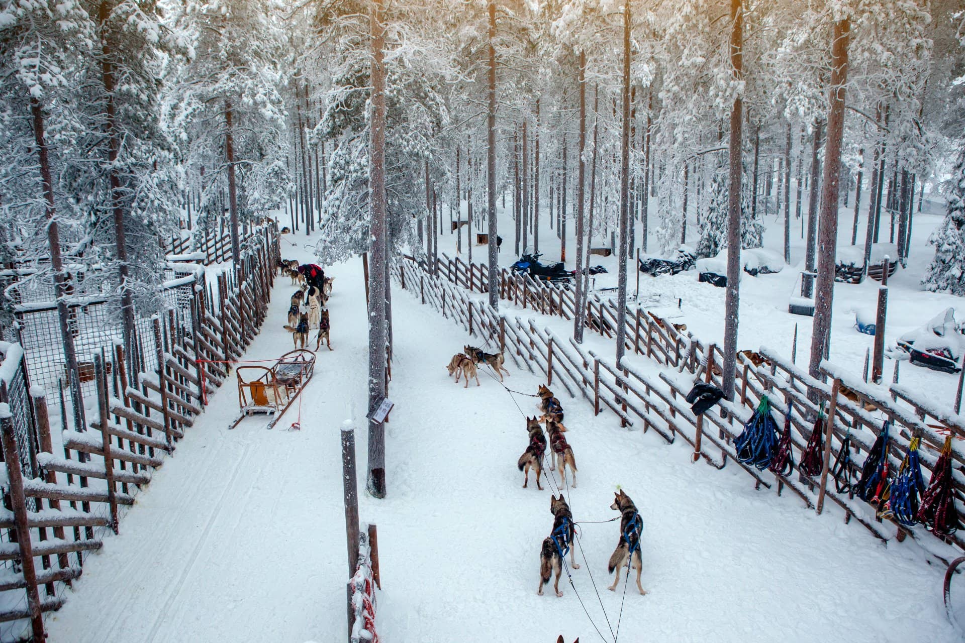 Husky park