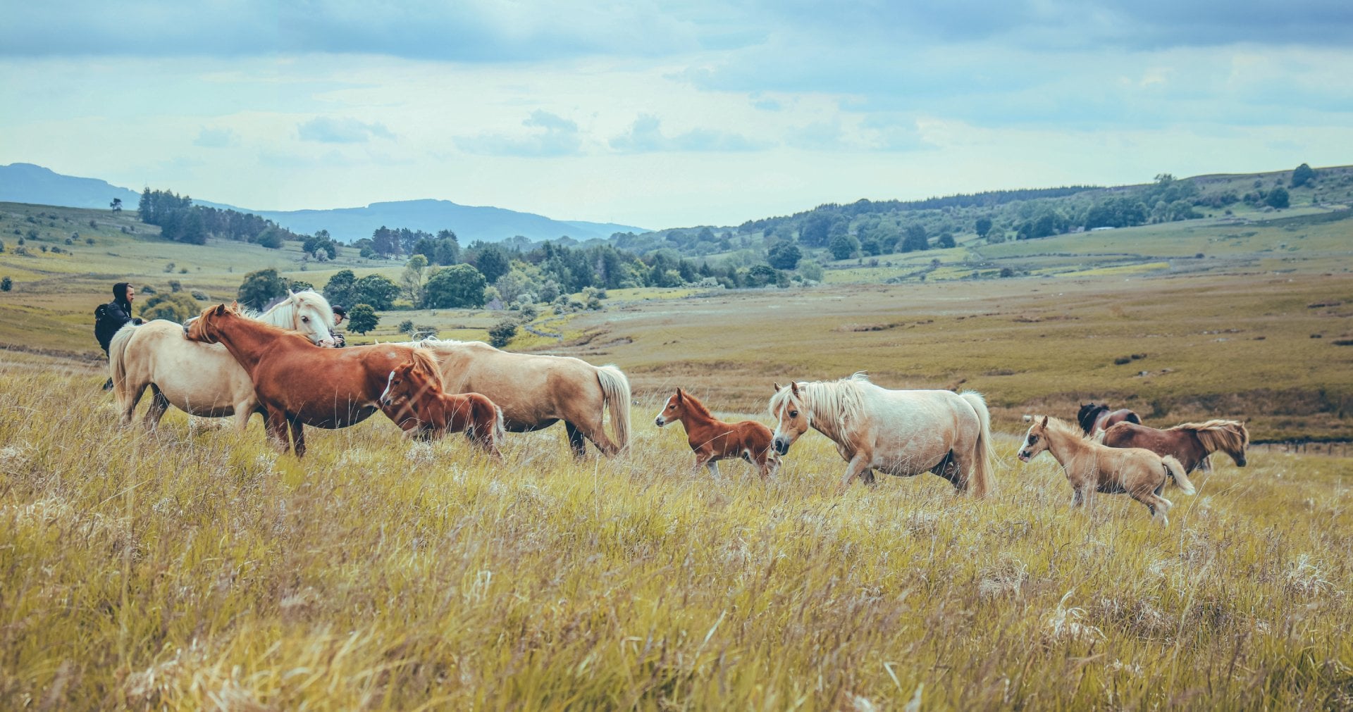Brecon Beacon's National Park Brecon Beacon's National Park