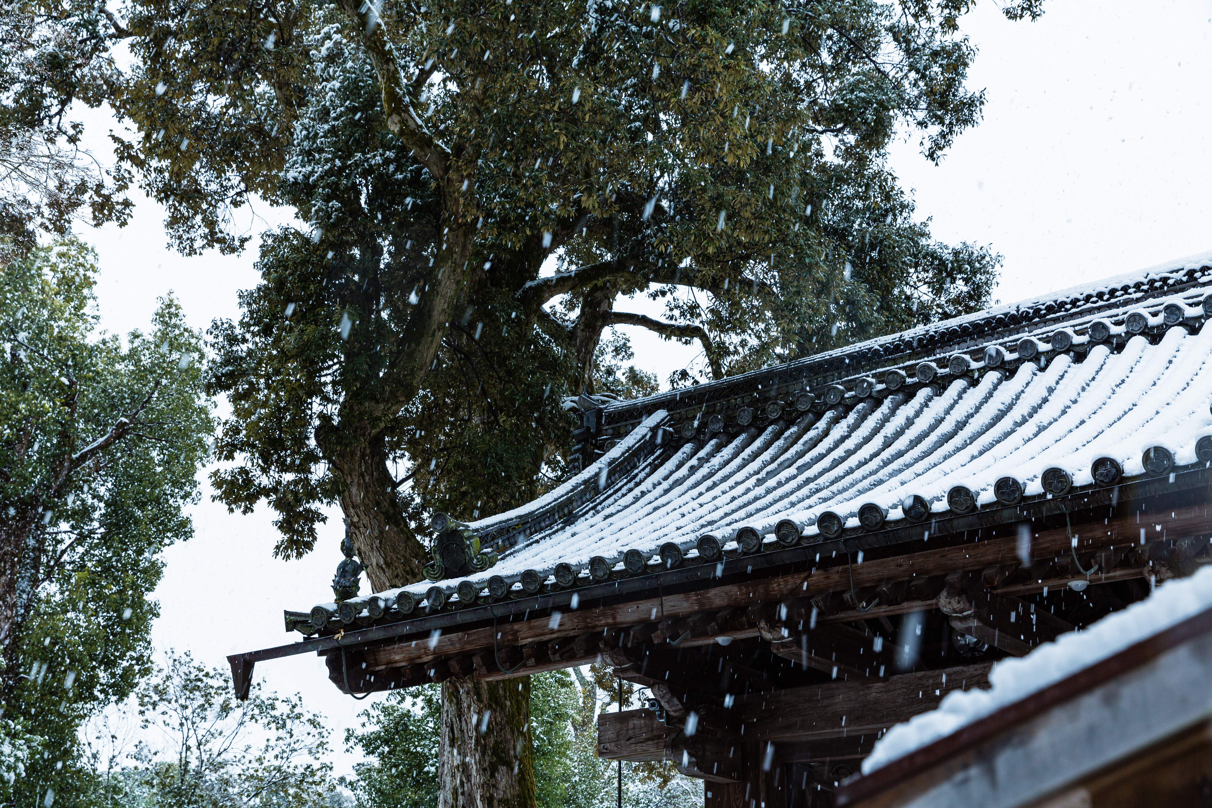 Kinkakuji, also known as the Temple of the Golden Pavilion, is a Zen Buddhist temple located in Kyoto, Japan. The temple is famous for its stunning gold-leaf covered pavilion, which sits on the edge of a tranquil pond surrounded by lush gardens.