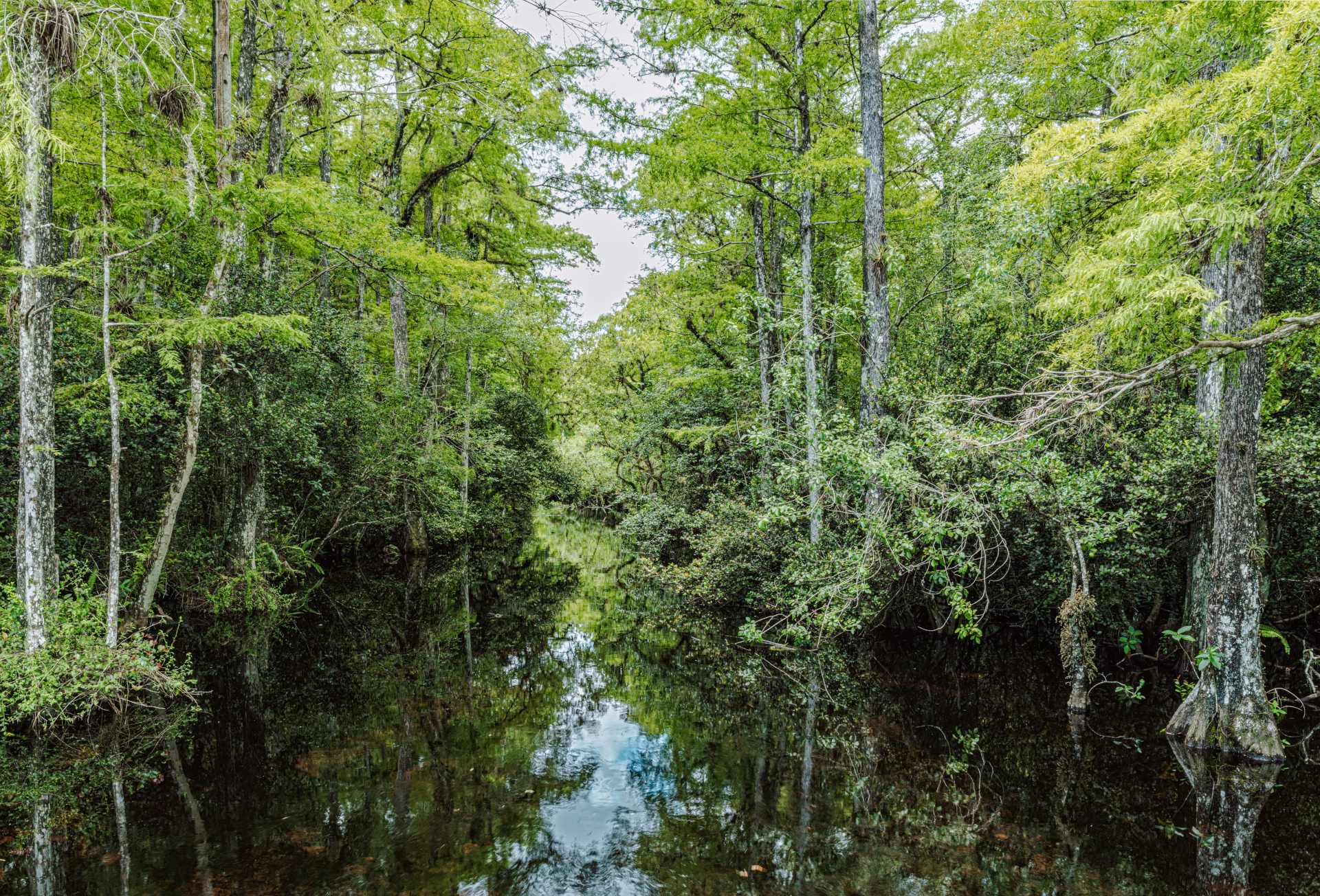 Everglades National Park
