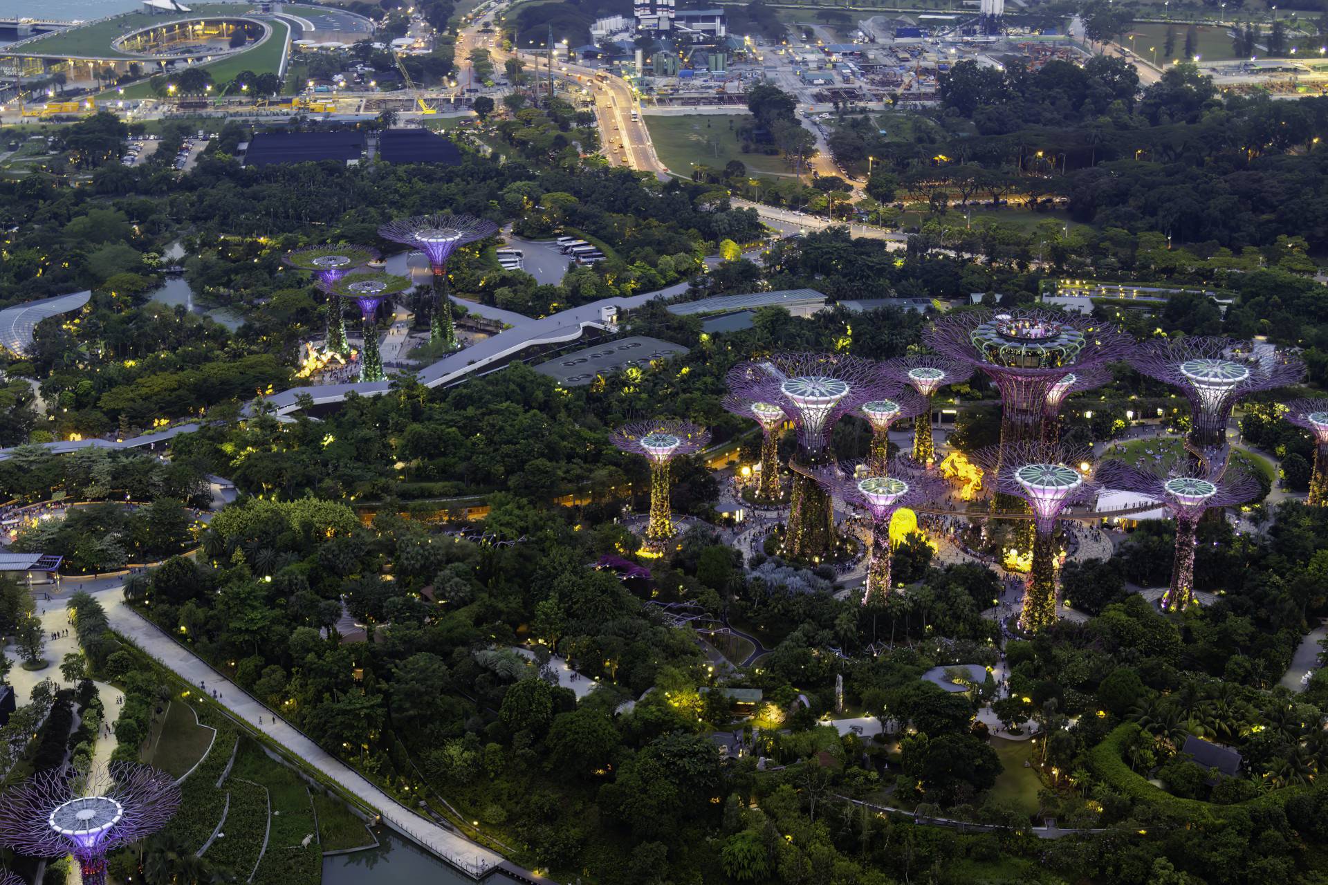 Aerial view of The Supertree Grove, Cloud Forest and Flower Dome at Gardens by the Bay at night