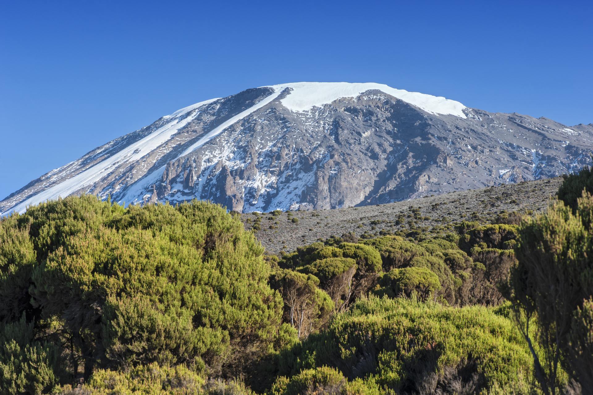 The snowcapped summit region of Mount Kilimanjaro