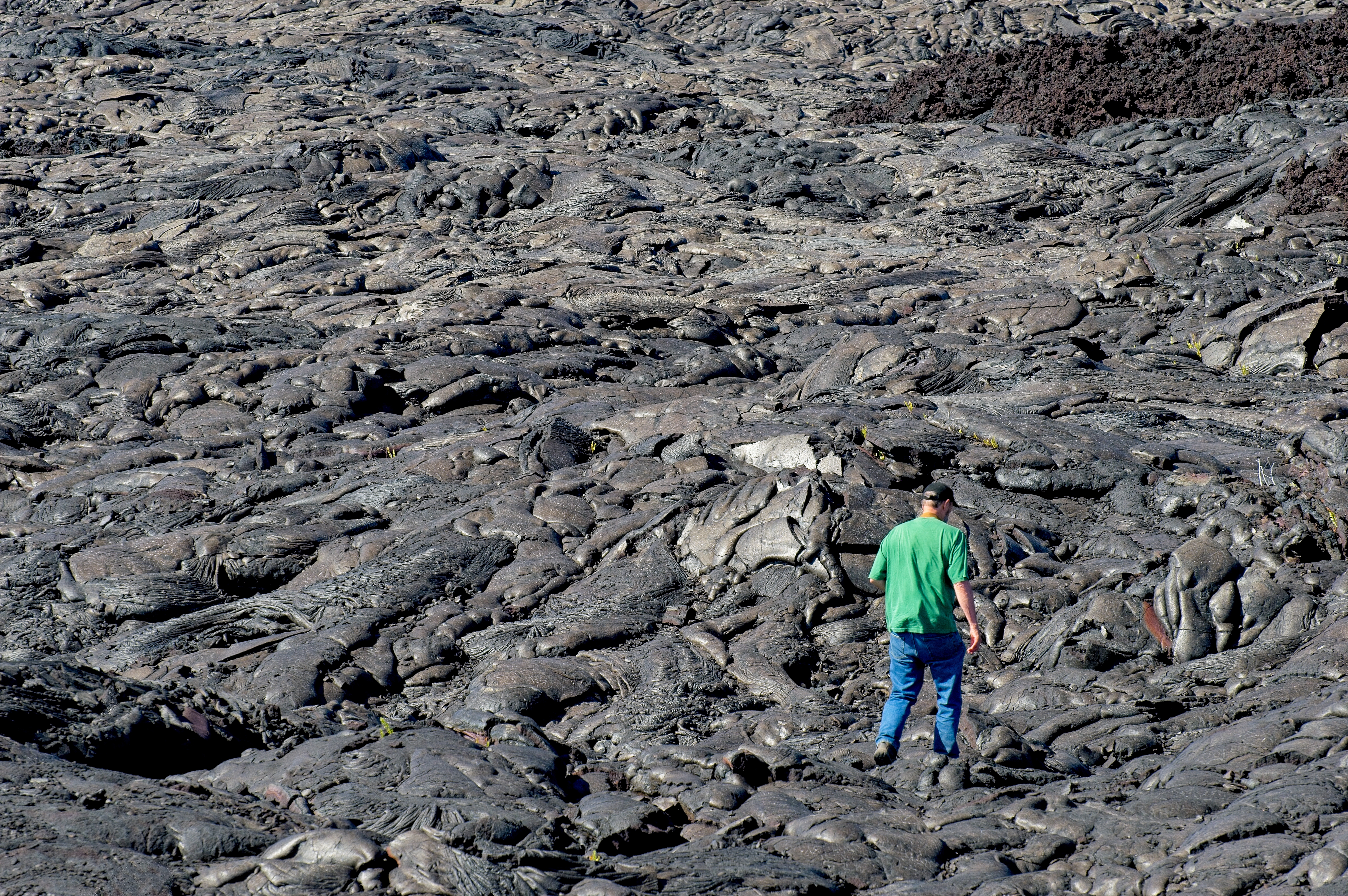 A hiker traverses the vast lava field from the Kilauea volcano at Volcanoes national park Hawaii