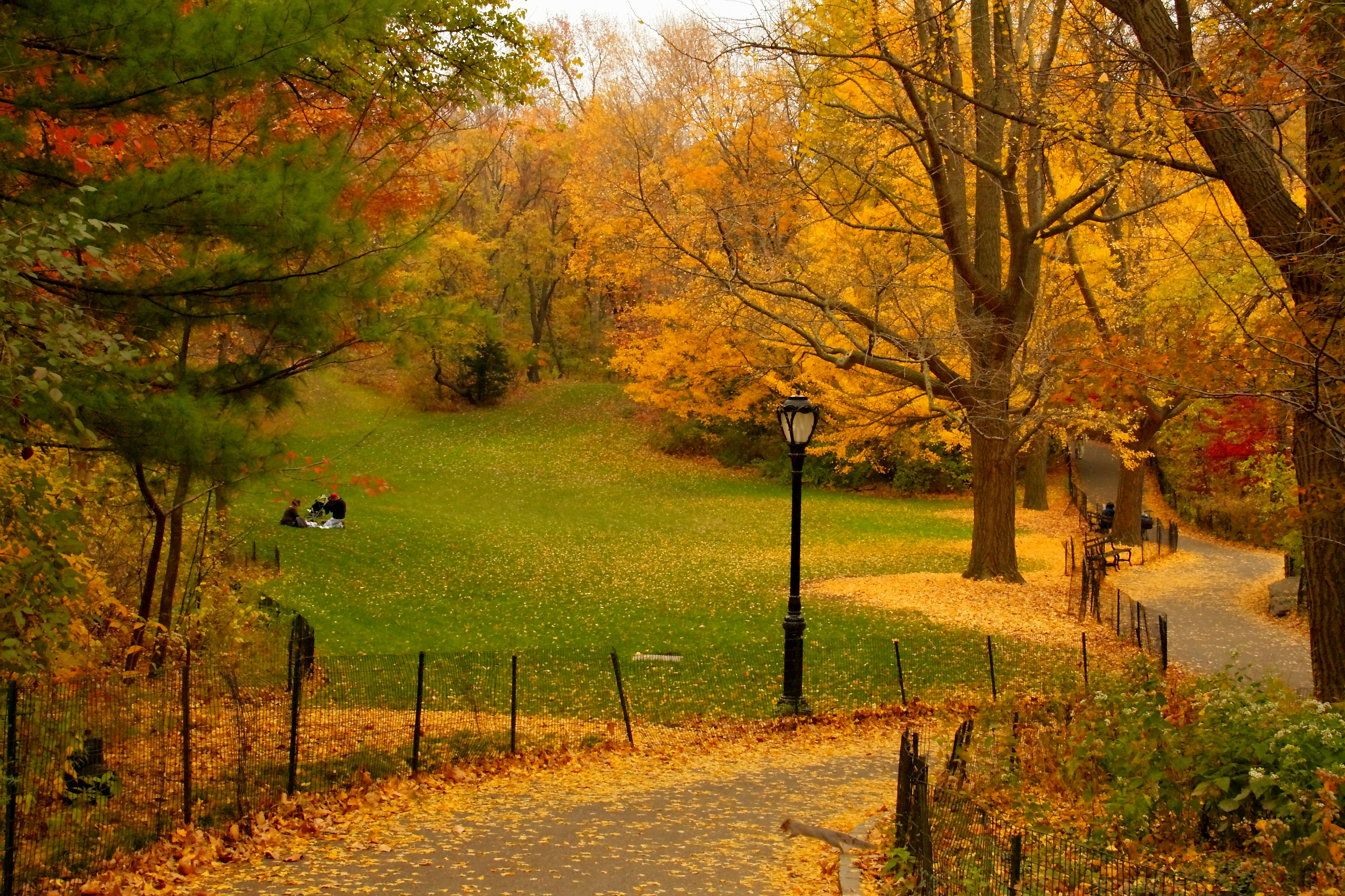 Autumn yellow foliage path in New York Central Park