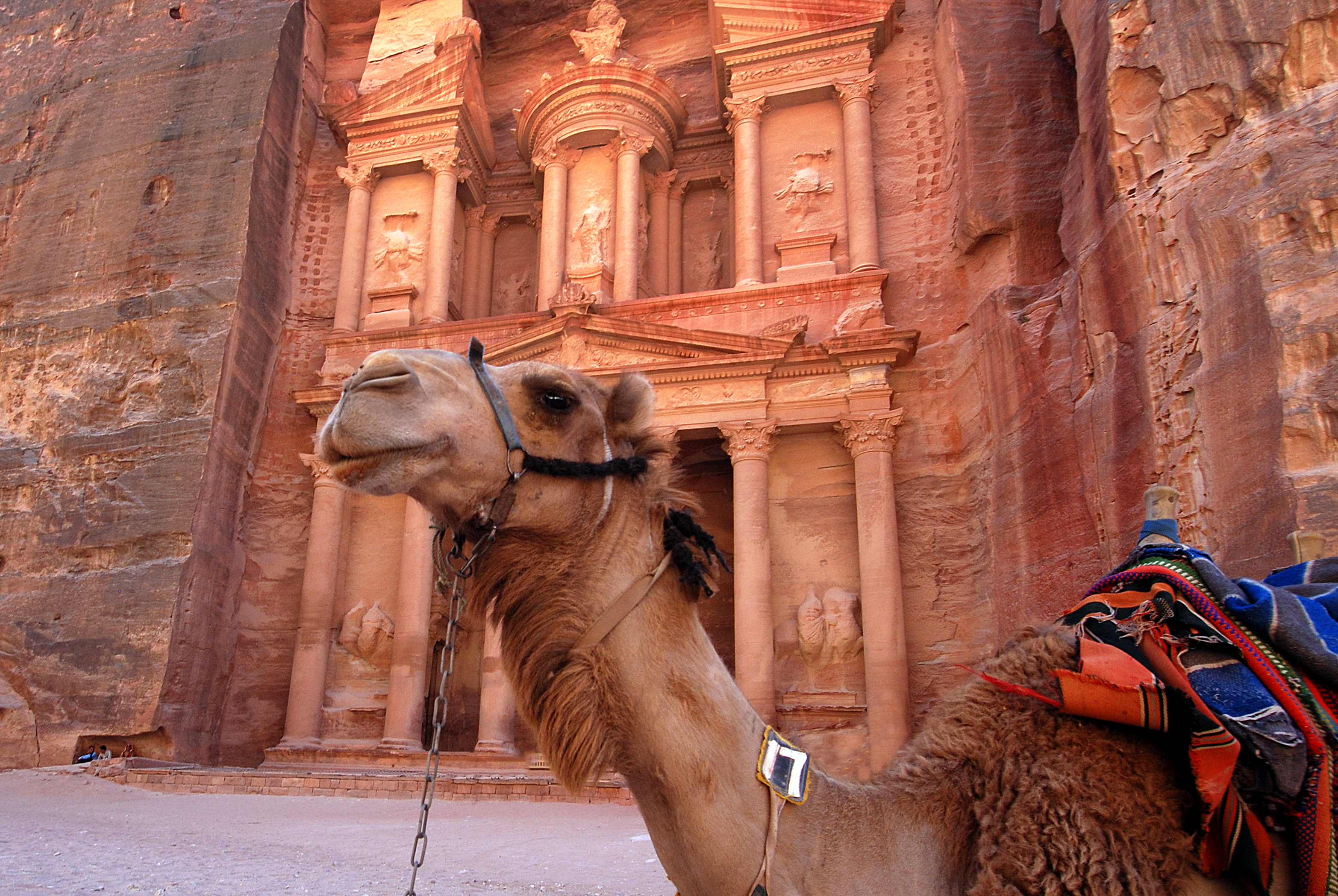 The probably best known tomb in Petra with a camel in the foreground.