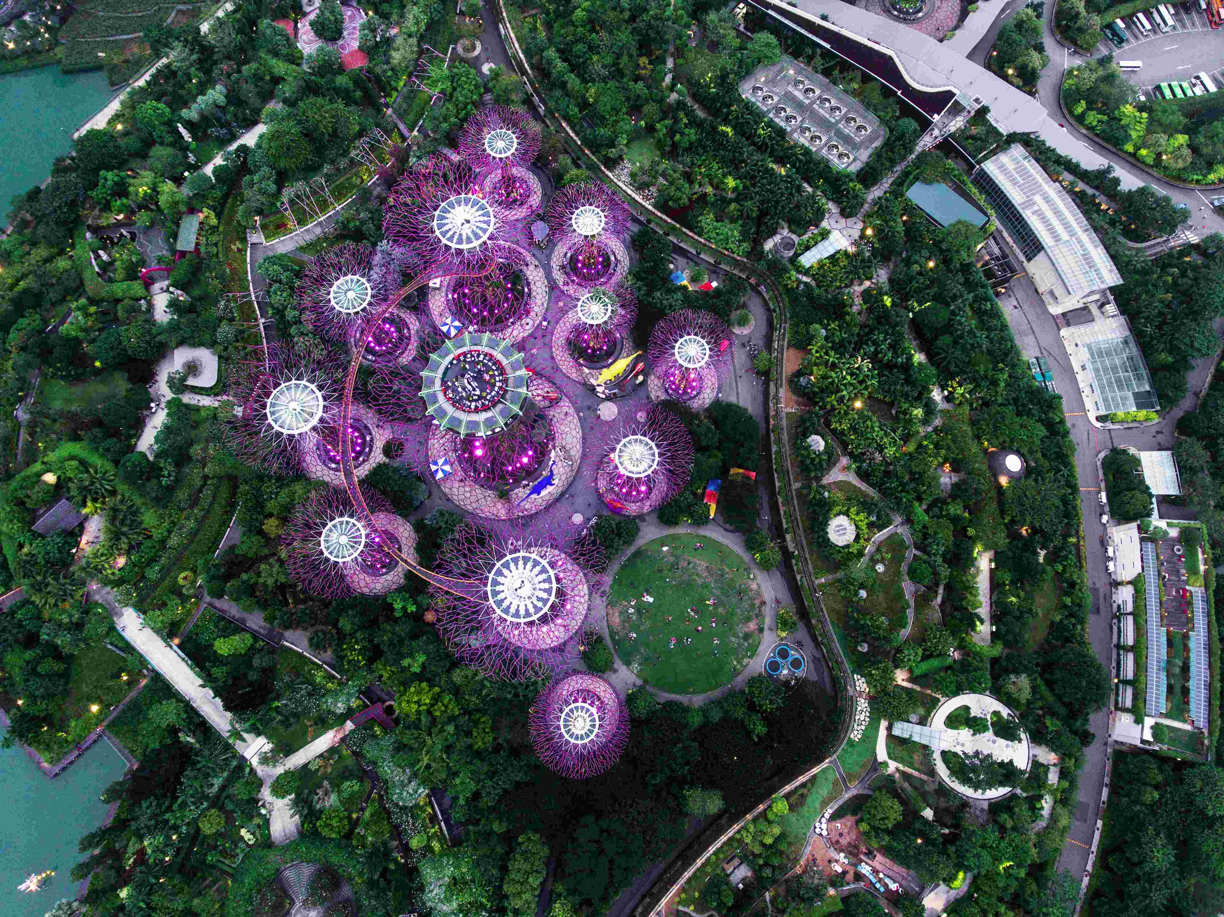 Aerial view of Gardens by the Bay