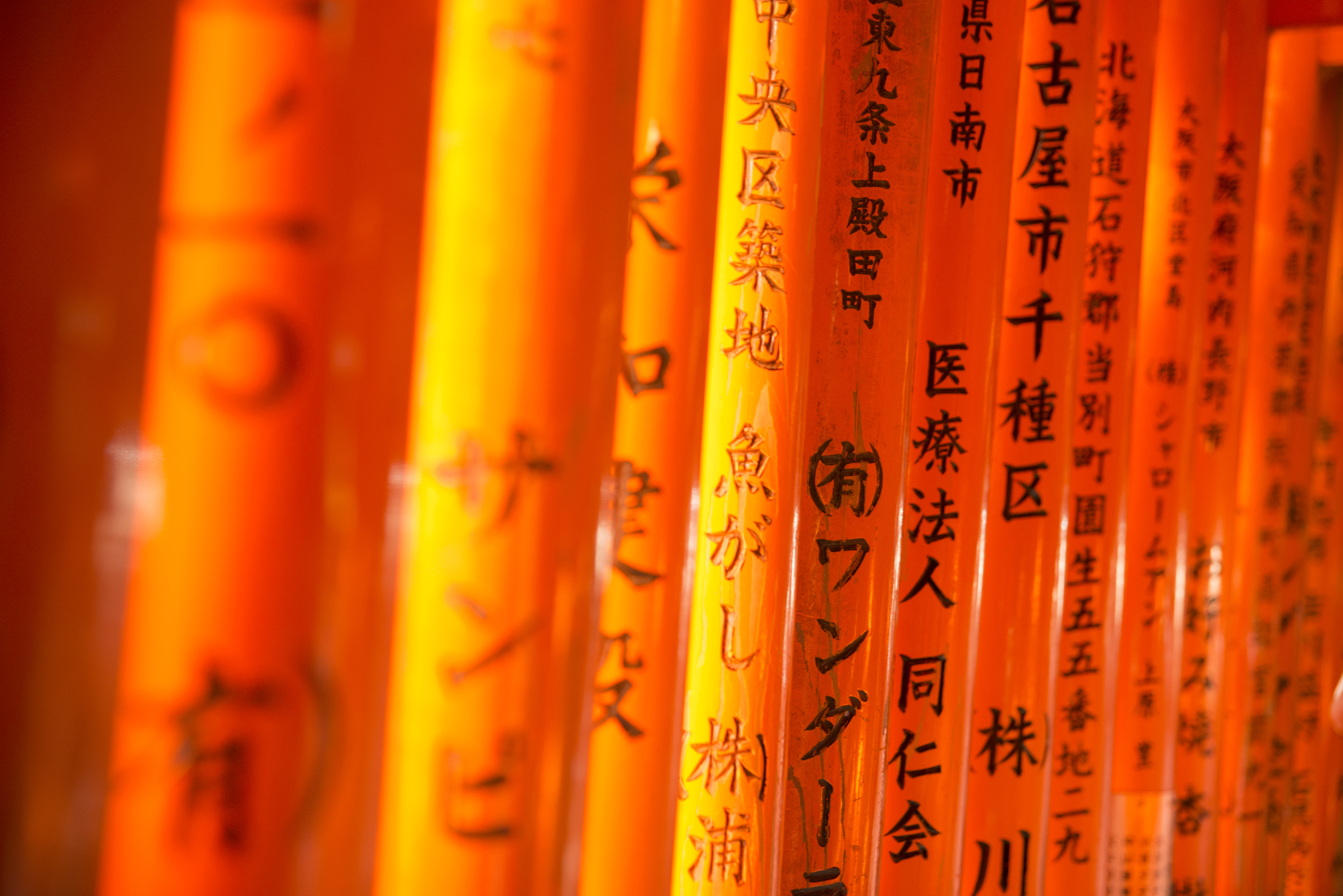 Fushimi Inari Shrine, Kyoto, Japan Torii Gates of Fushimi Inari shrine