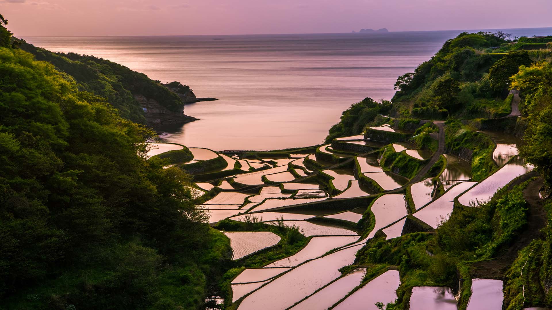 Hanamanoura Tanada Hanamanoura Tanada, sunset on the rice field, kyushu, japan