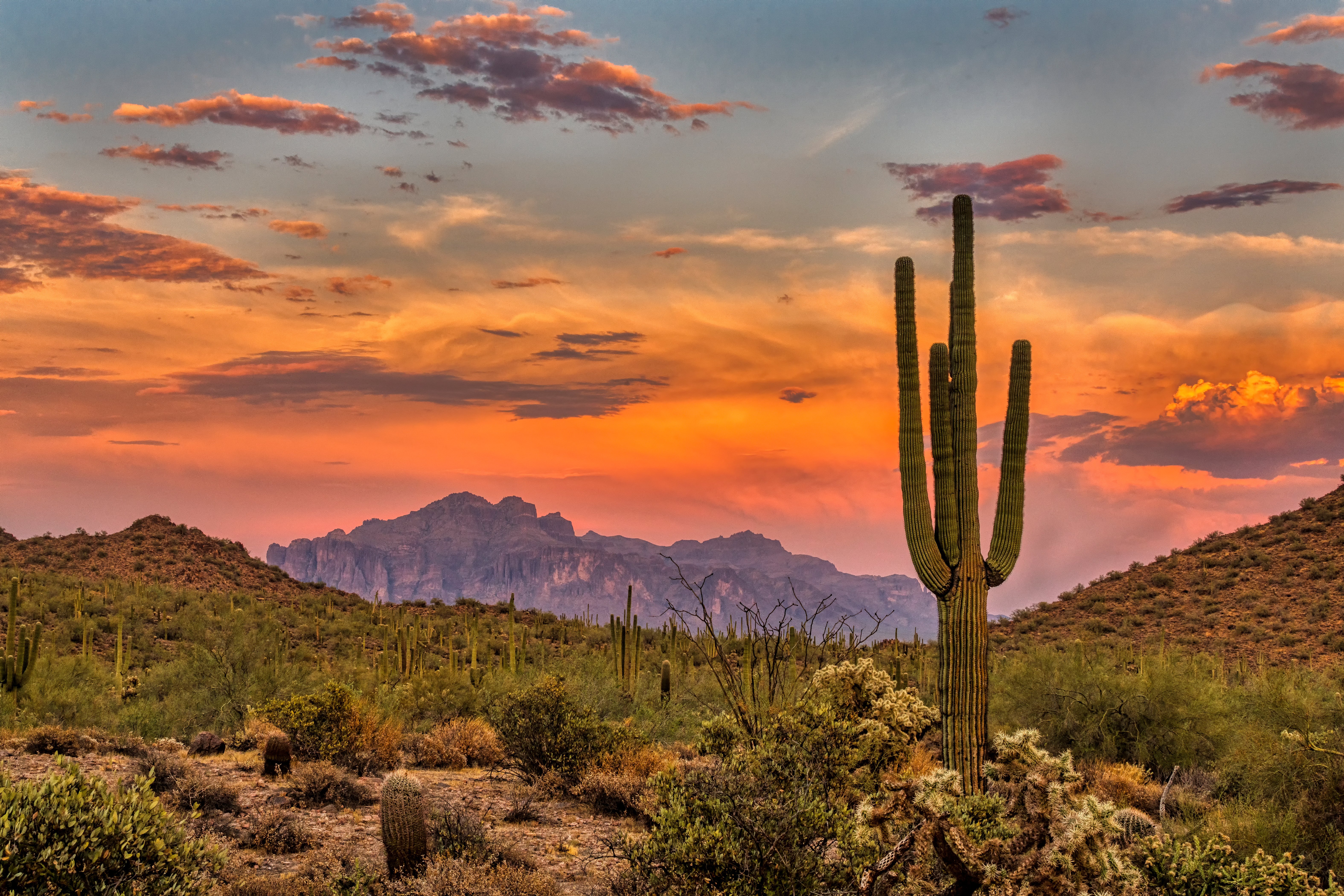 Western Trails: California, Arizona & Nevada