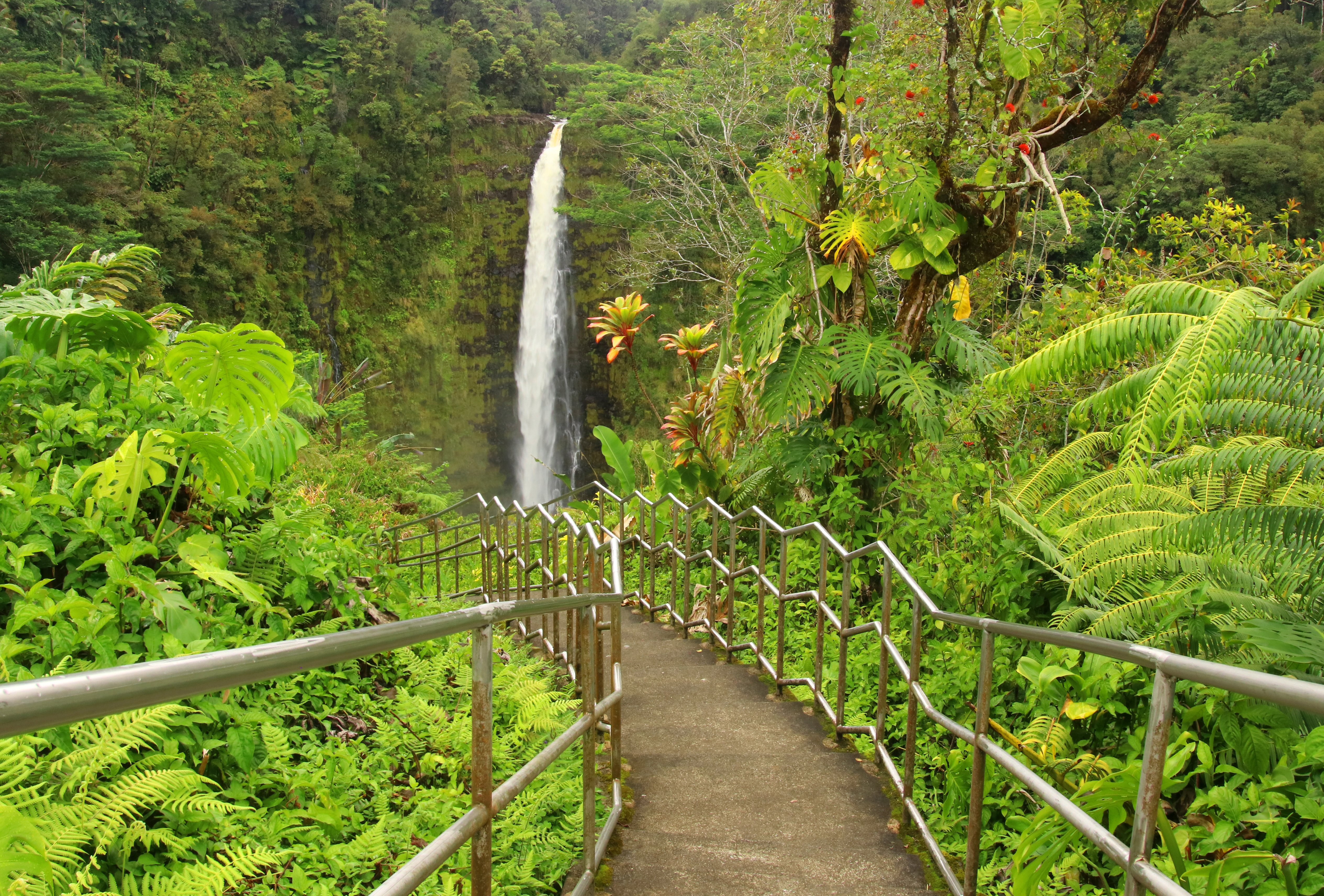 Ultimate Hawaii: Four Flavours of Paradise