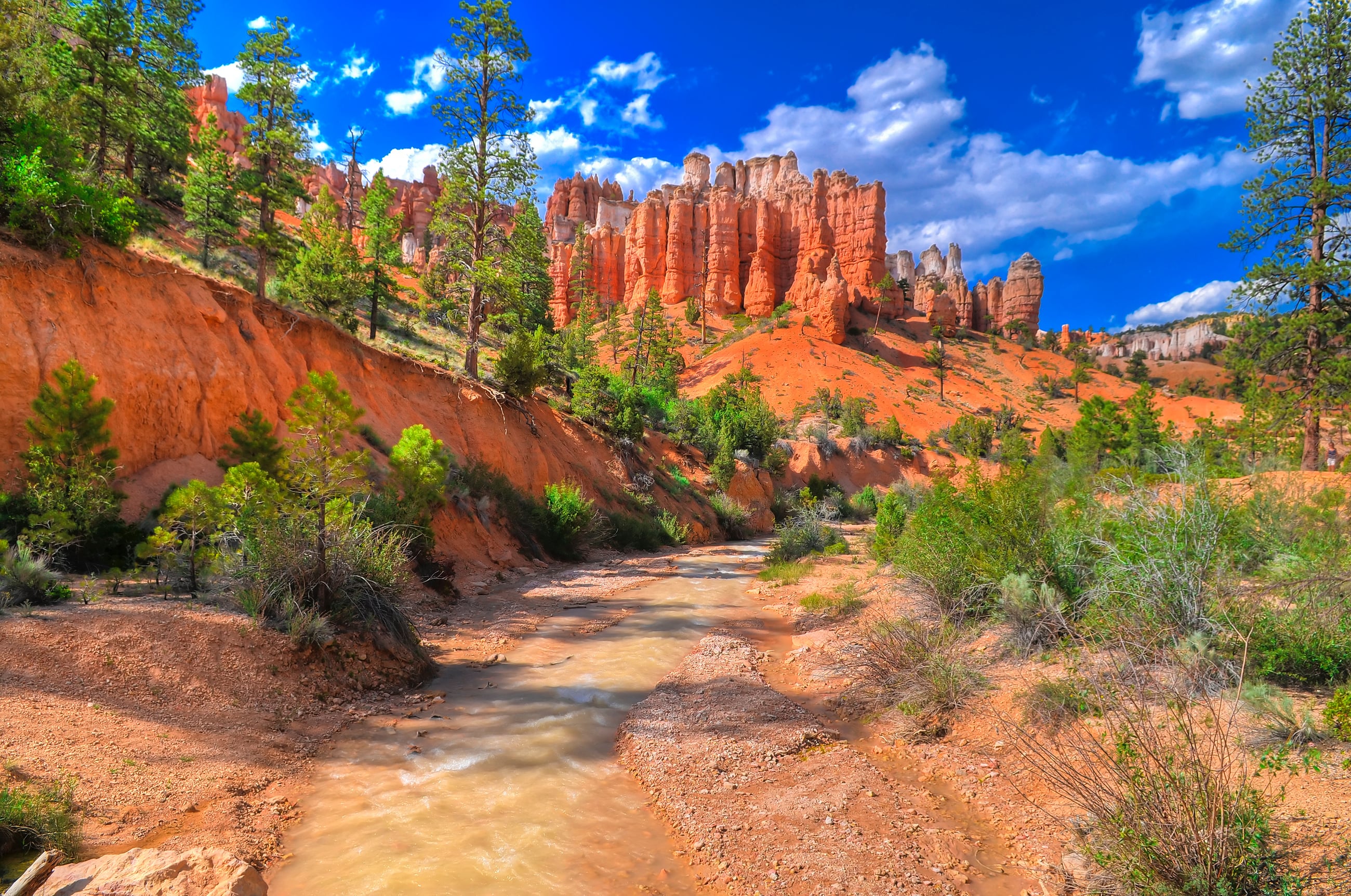 Utah's Mighty Five & the Grand Canyon Road Trip