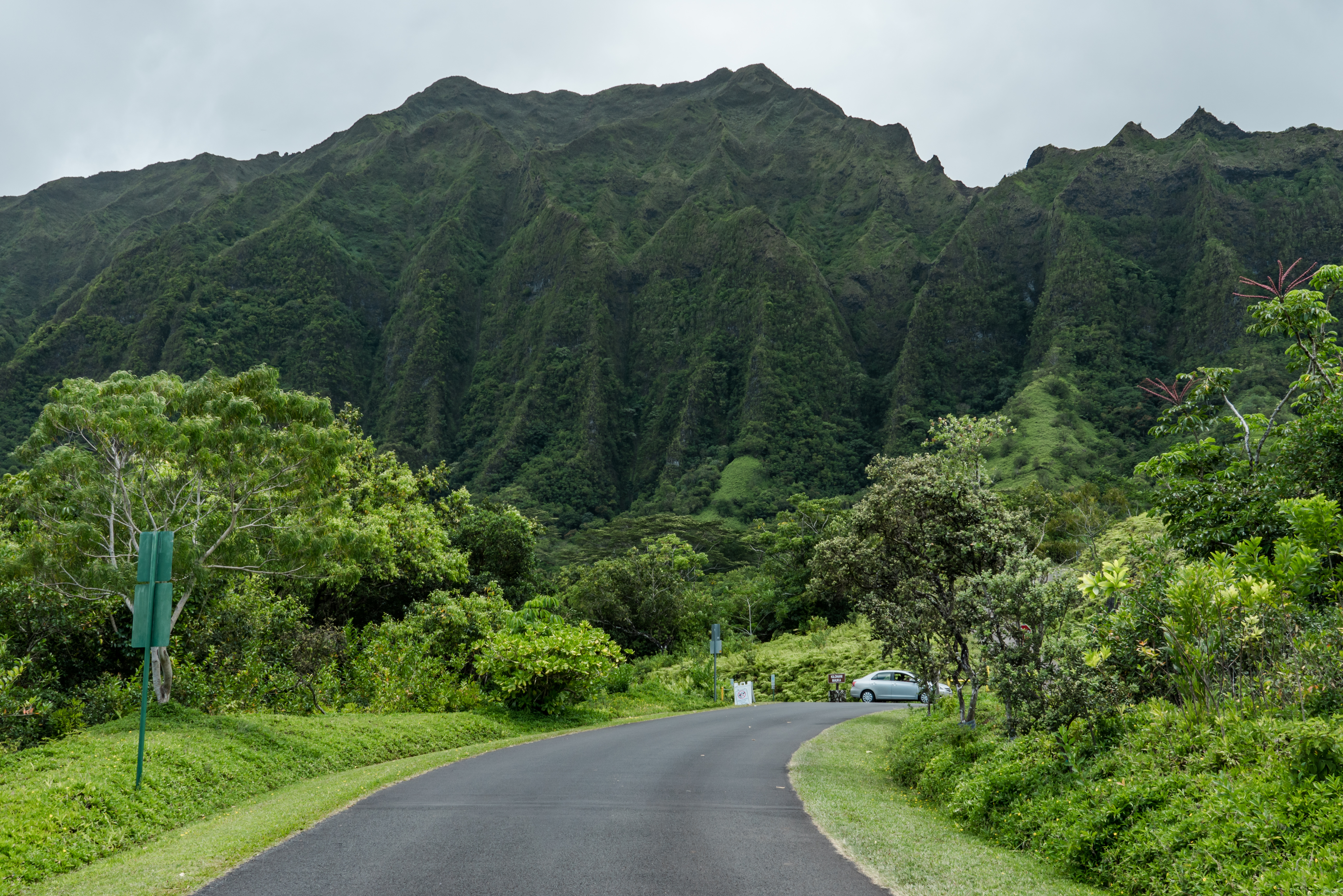 O'ahu & Maui Family Road Trip