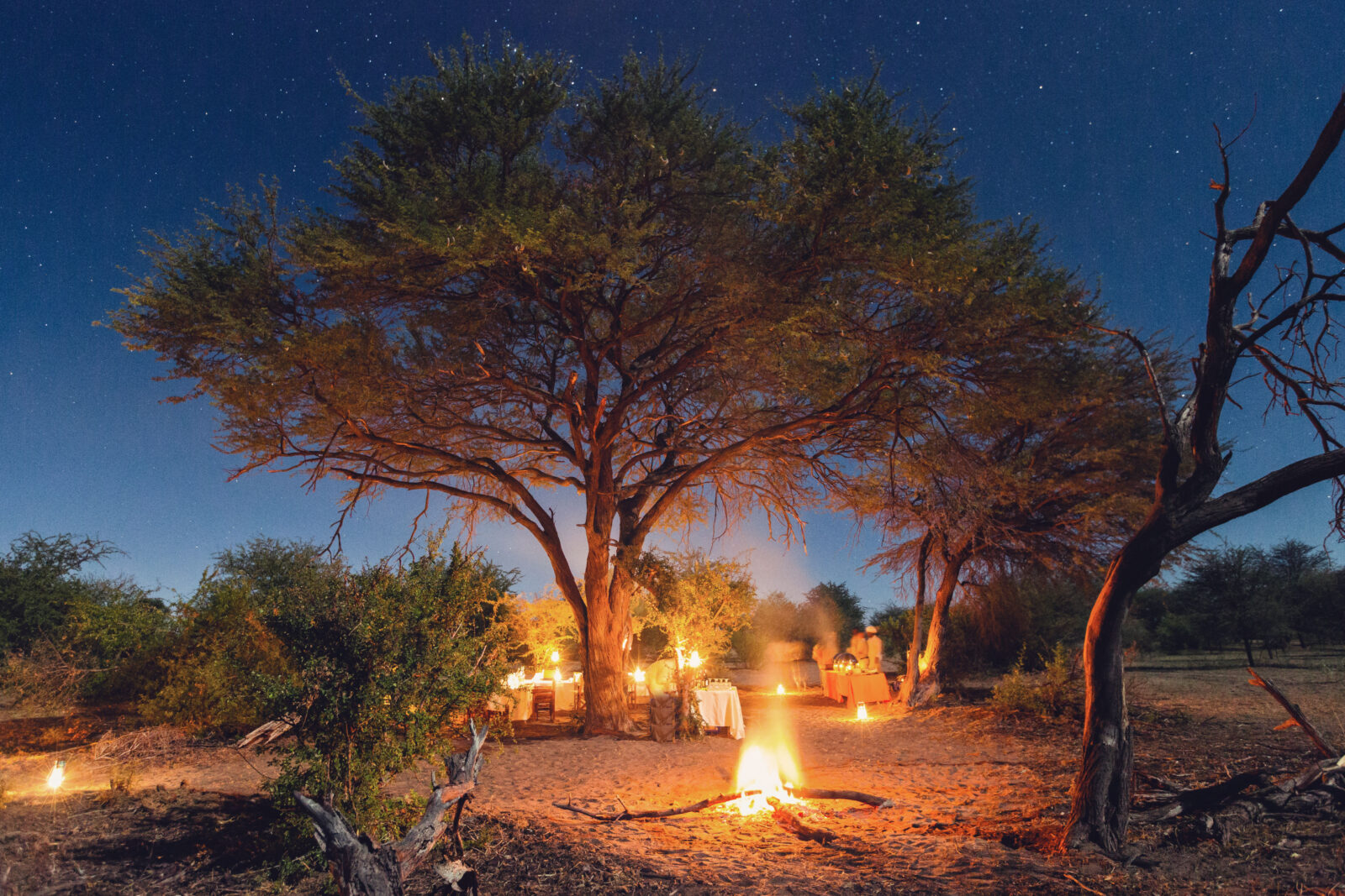 Deluxe Botswana Family Safari