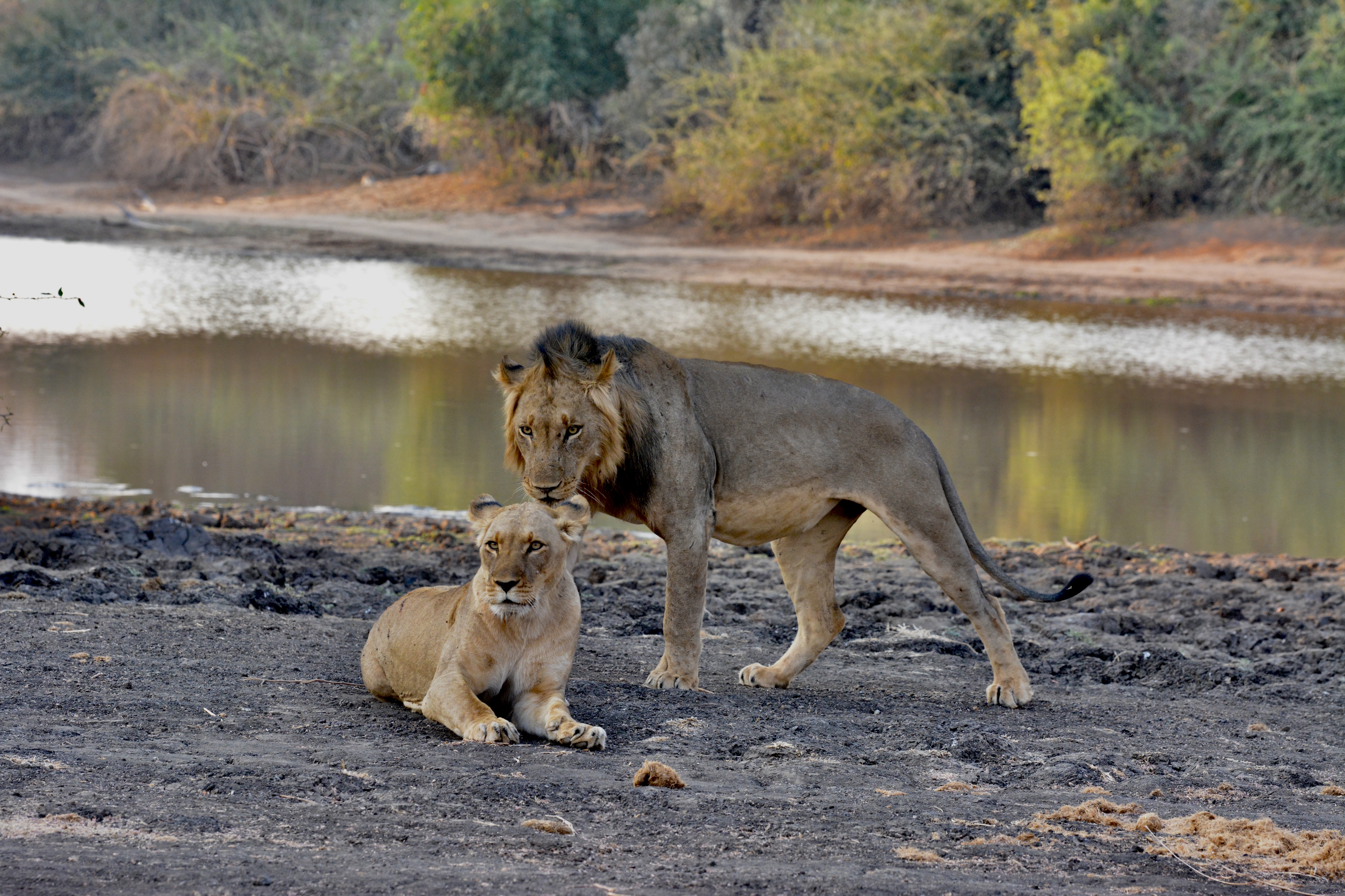 Ultimate Luxury Train Journey: Cape to Dar es Salaam