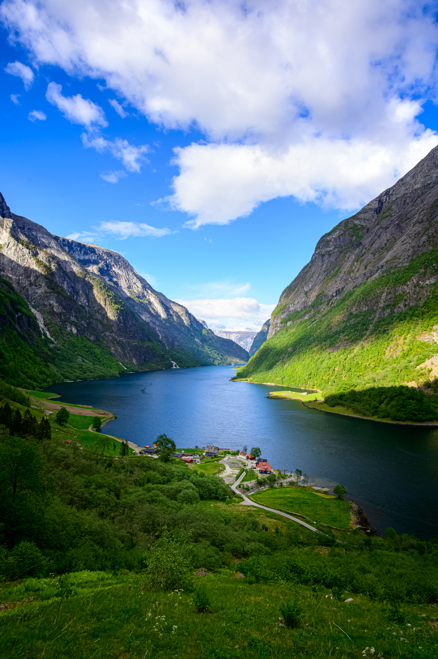 Spectacular Norwegian Fjords with Cruise Experience