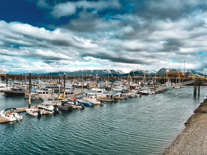 Wild Luxury: Denali & Tutka Bay