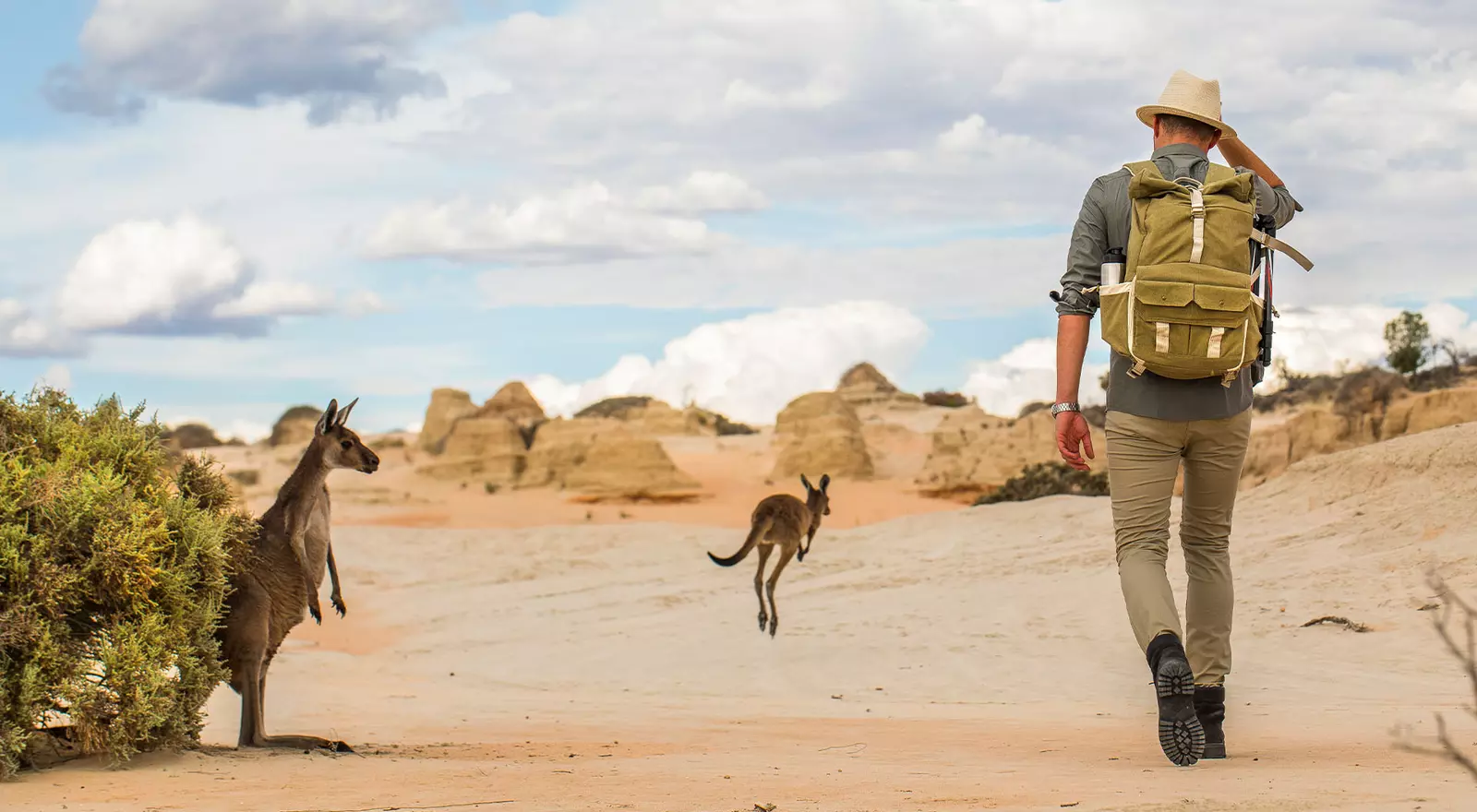 This stunning desert landscape is the Walls of China in Mungo National Park