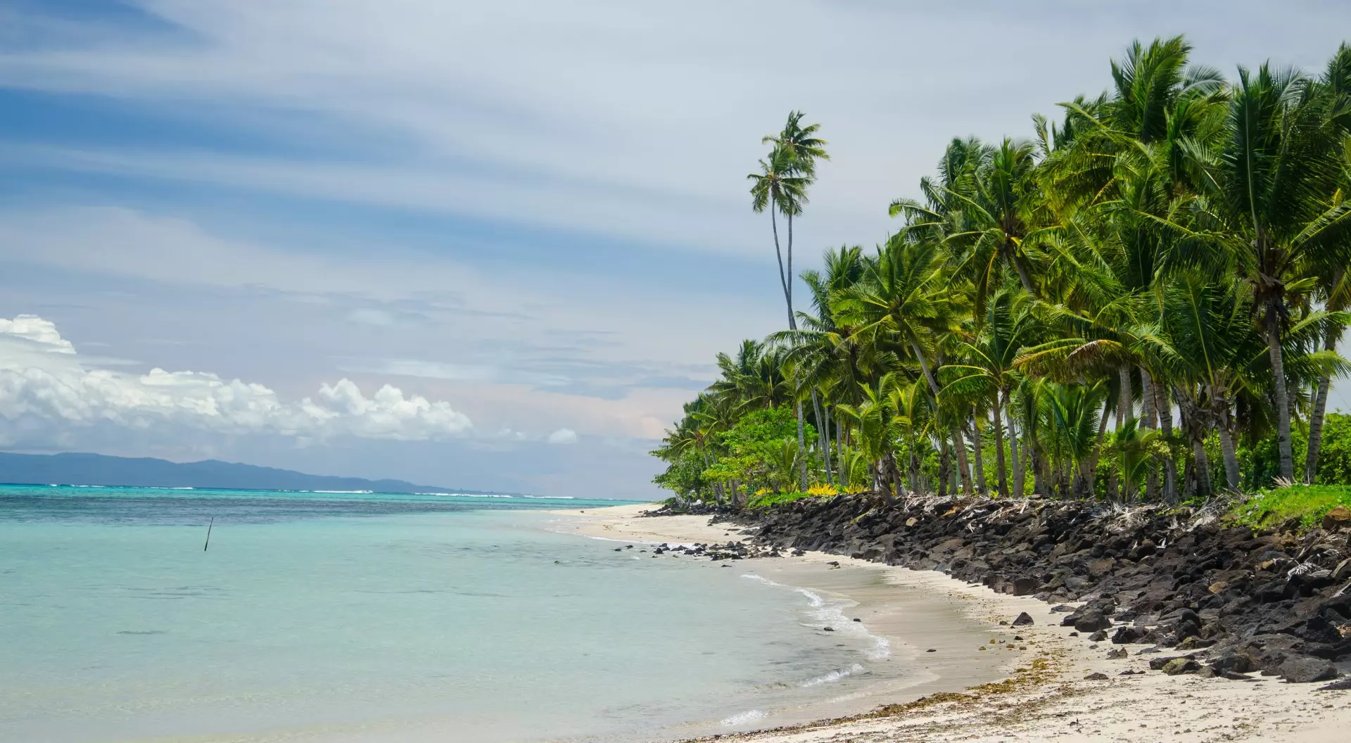 Samoa A beach surrounded by palm trees and the sea under the sunlight in the Savai'i Island, Samoa