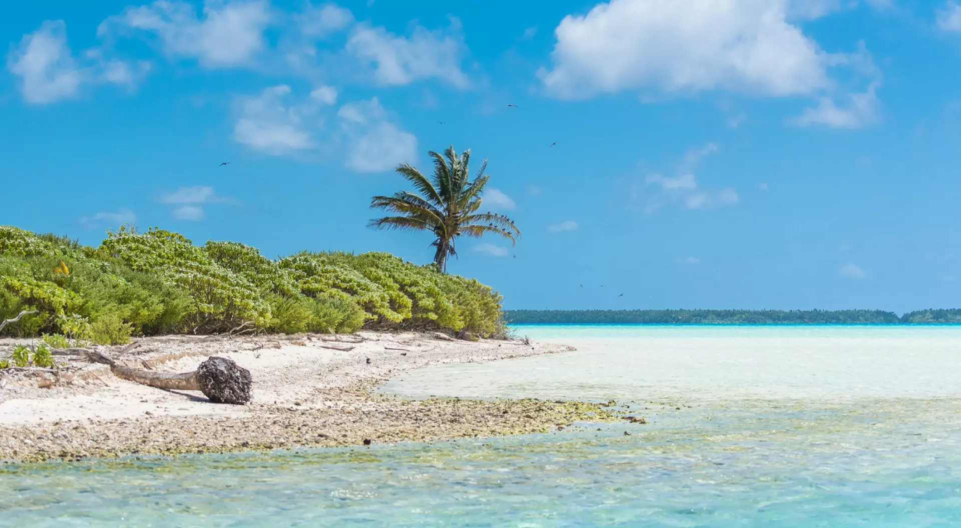 Tahiti, French Polynesia A Tahitian Beach