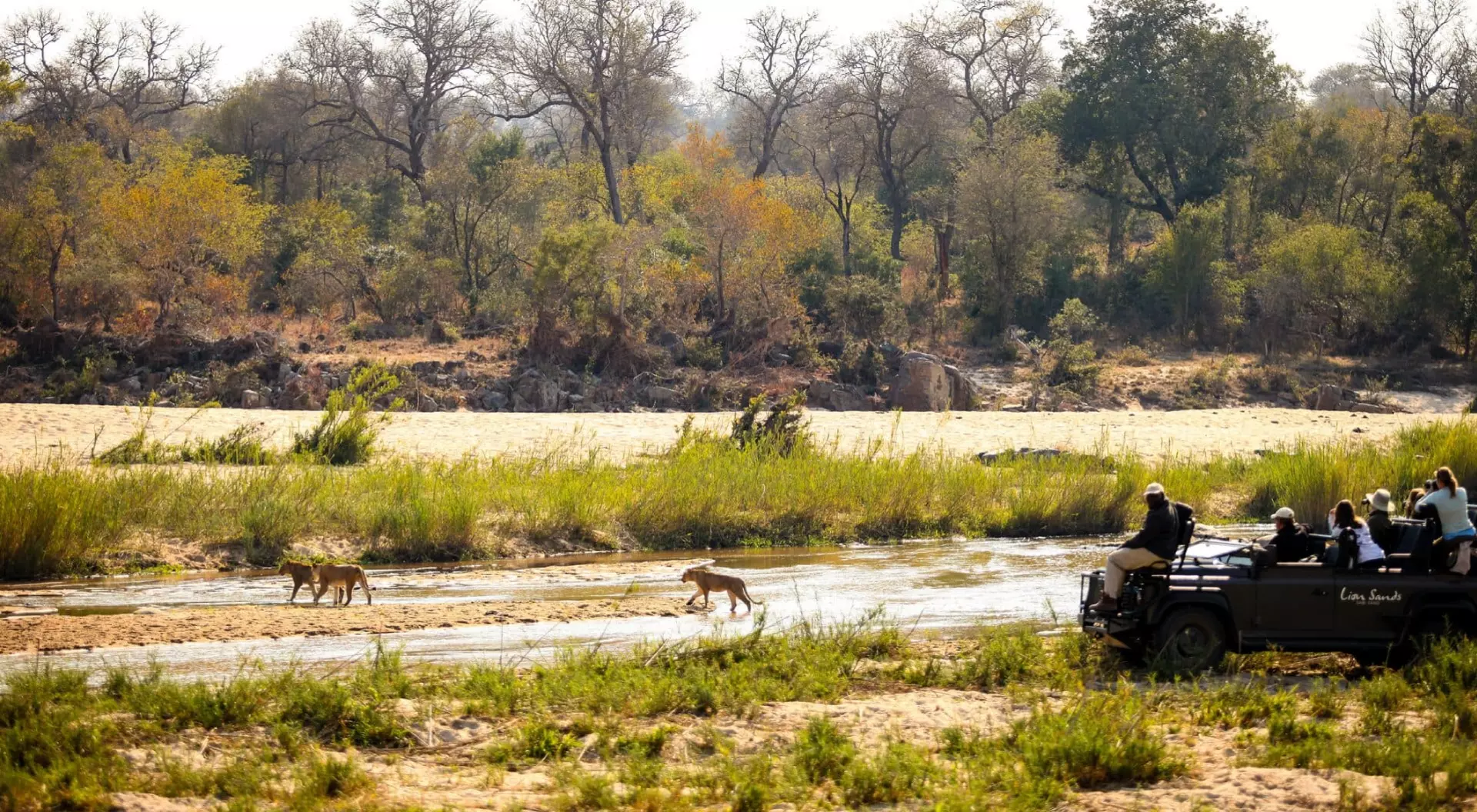 A private game drive tour on the back of a 4x4 on safari in South African wildlife reserve