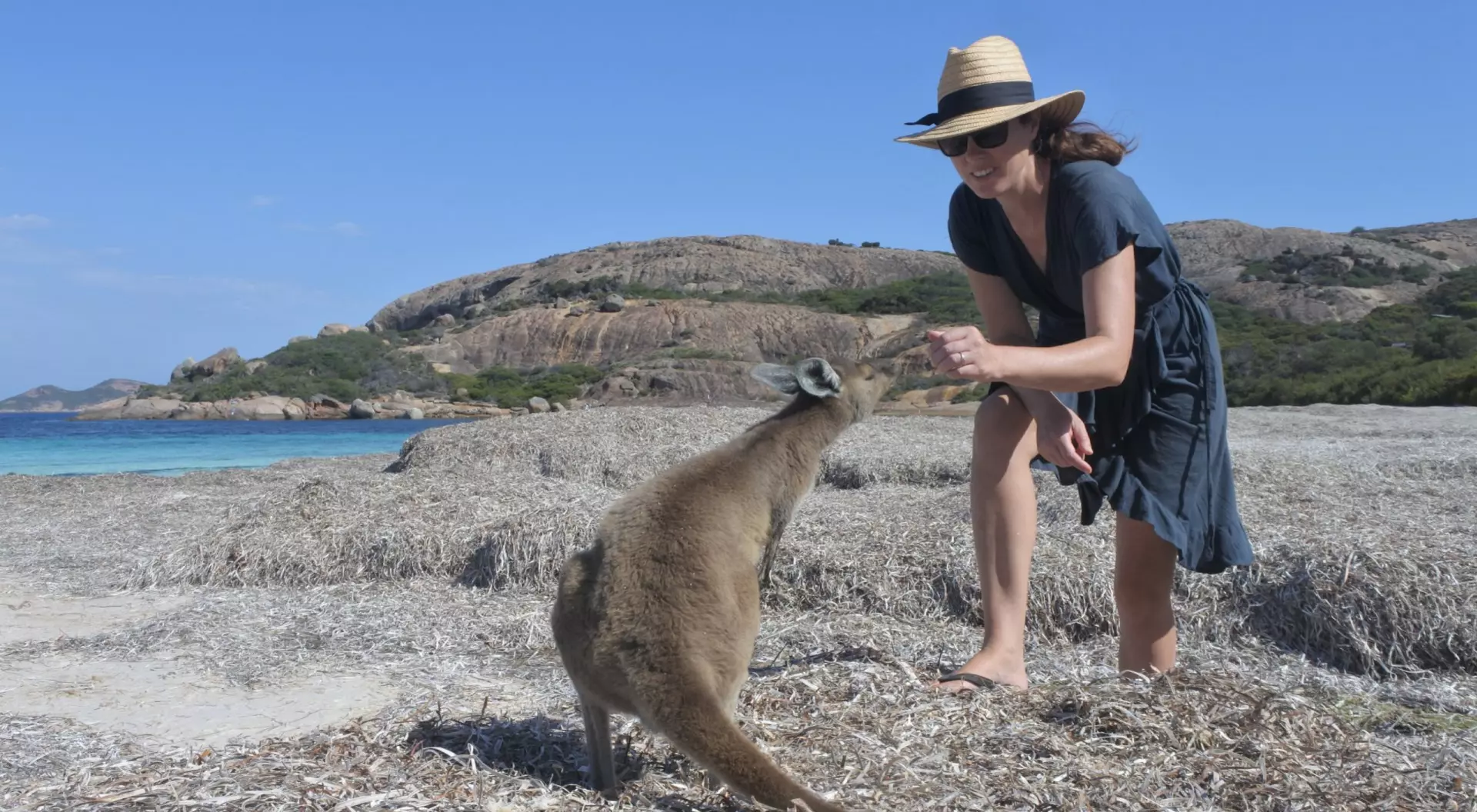 Australia Adult Australian woman petting a Kangaroo