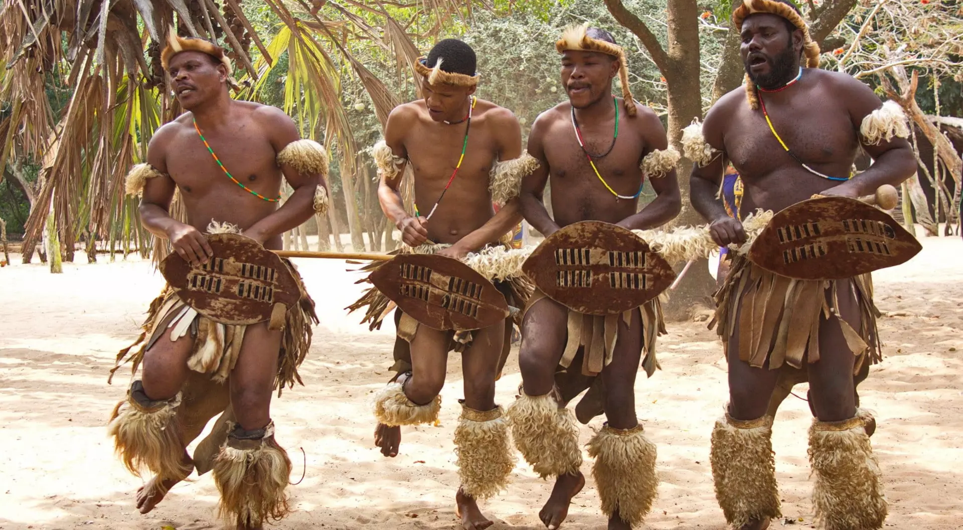 South Africa African Zulu traditional dancing in Zululand.