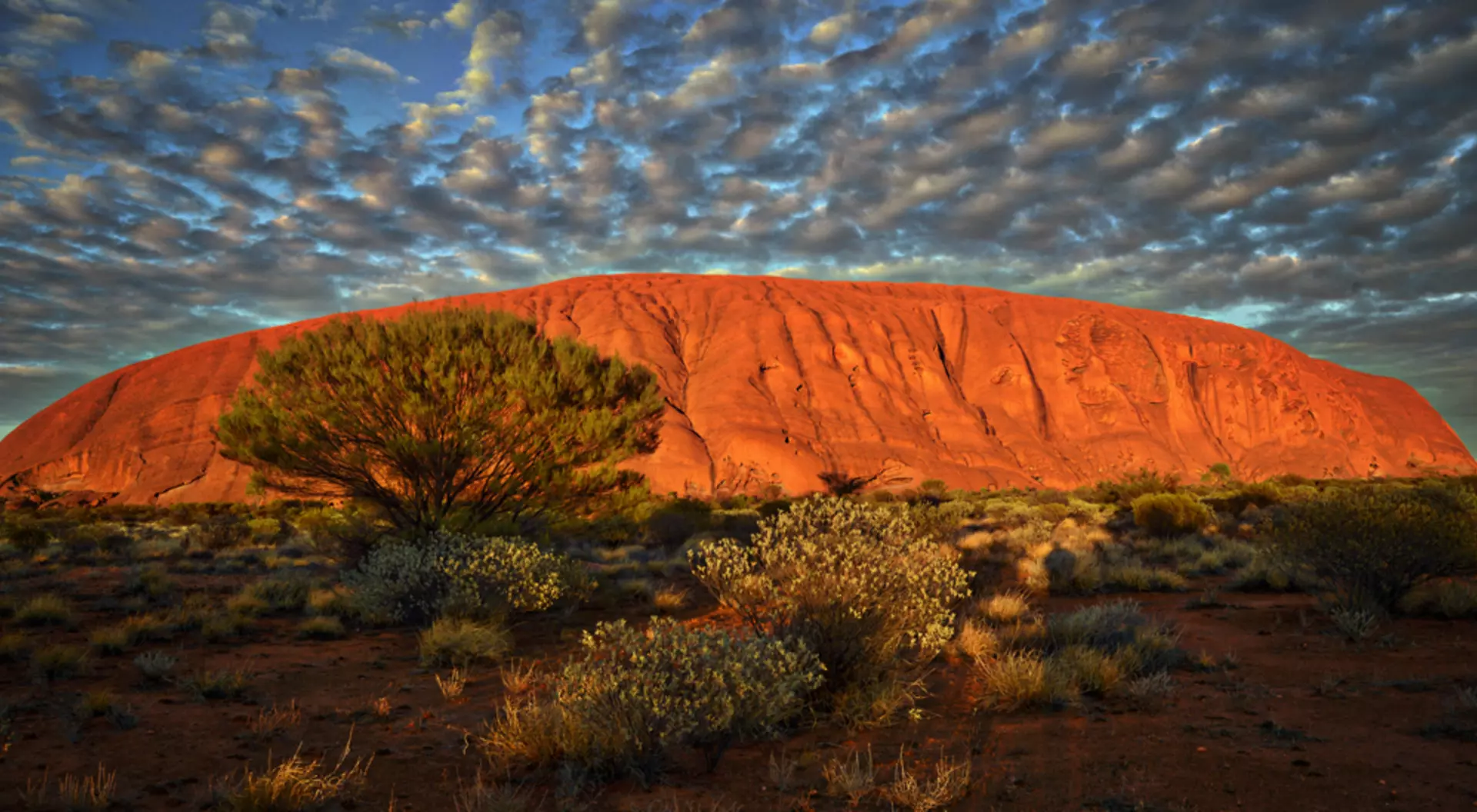 Ayers Rock (Uluru) in the morning, Northern Territory, Australia
