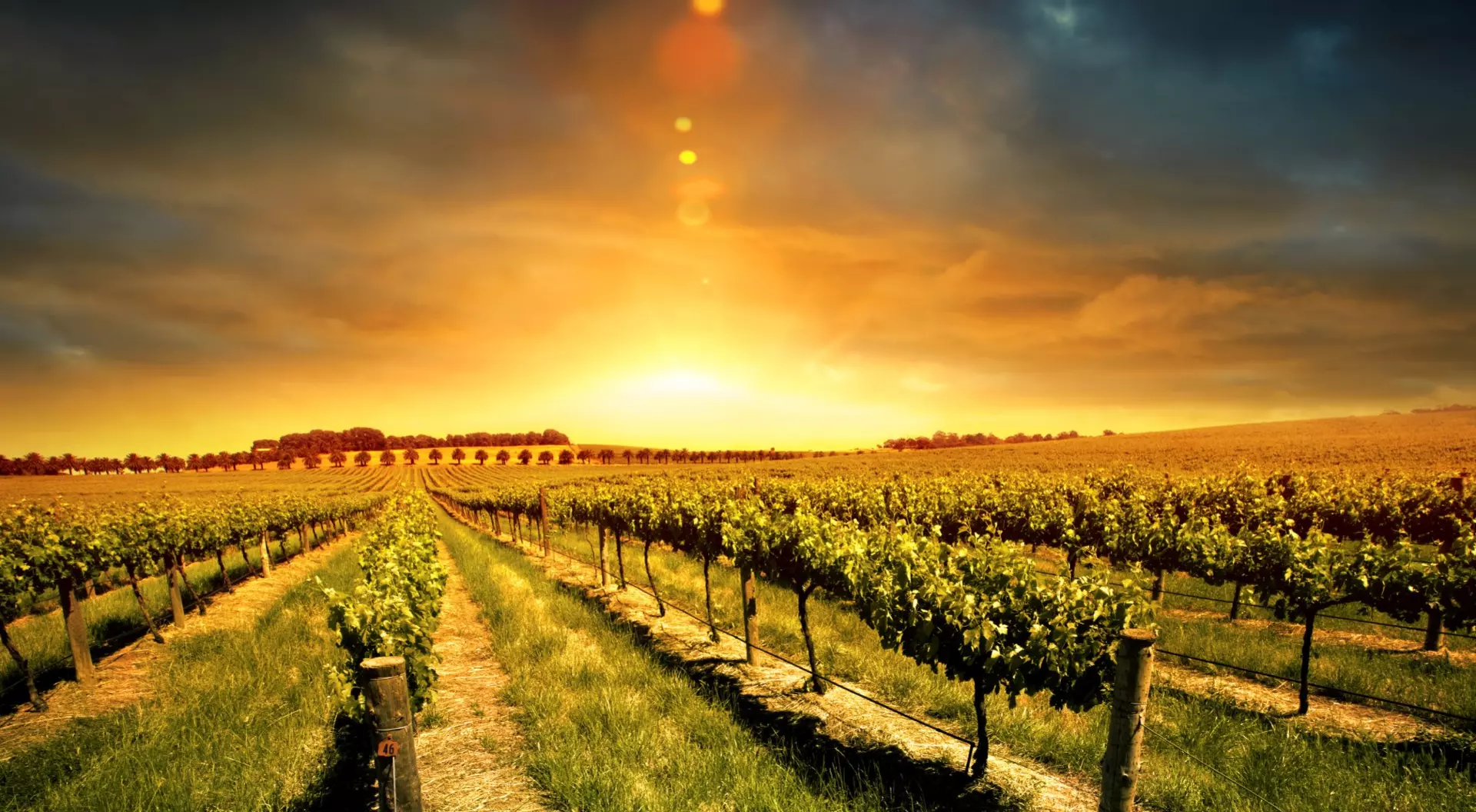 Australia Barossa Valley Sunset, Australia
