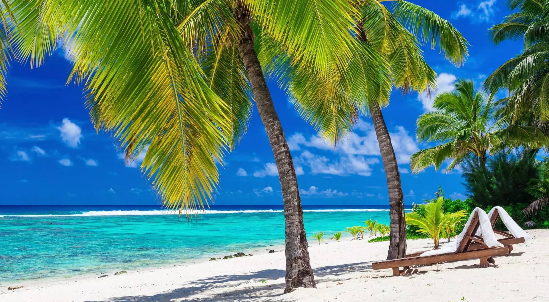 Beach beds under coconut palm trees with an ocean view, Rarotonga, Cook Islands