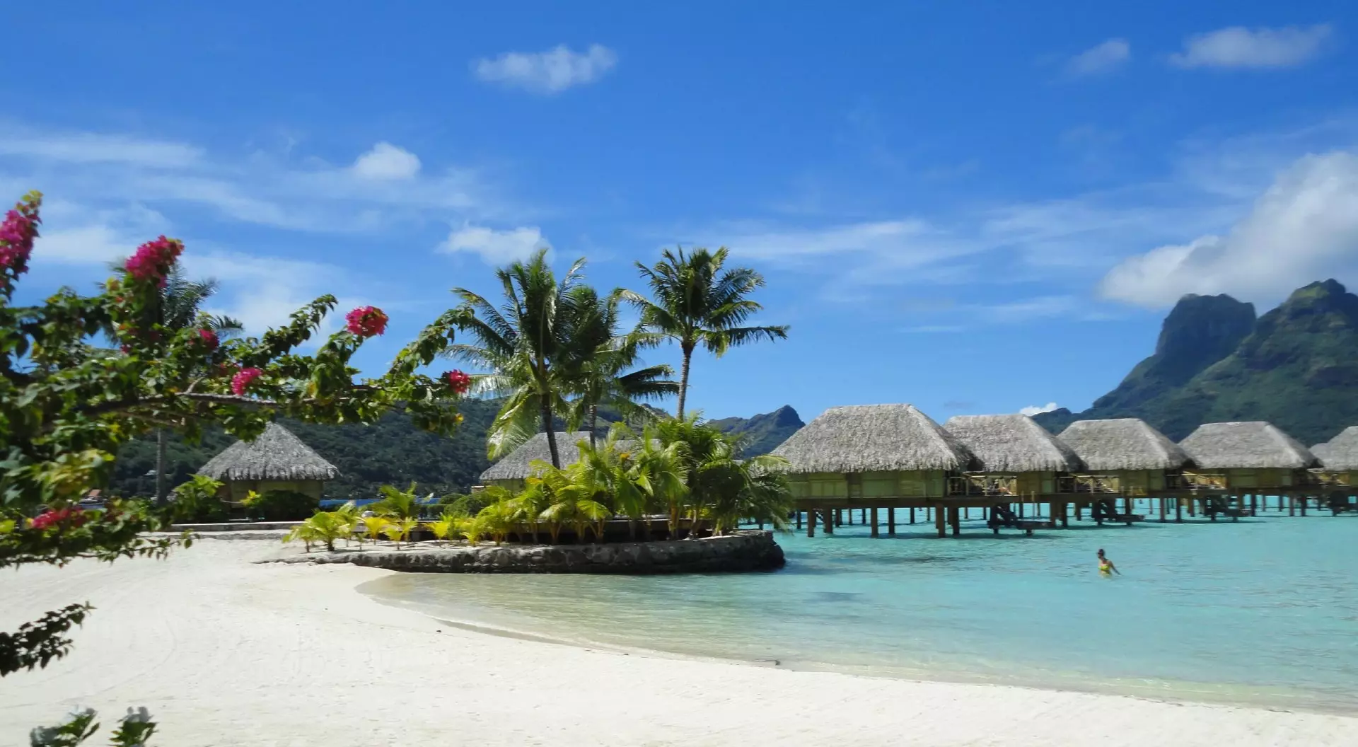 Bora Bora, French Polynesia Beach in Bora Bora, Polyensia, showing the overwater bungalows, flowers and plam tree