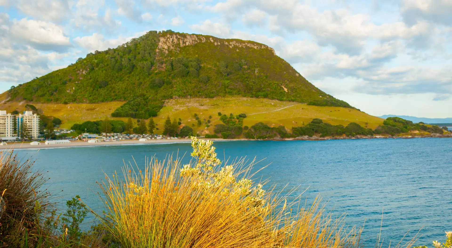 Beyond golden toned reeds bright in sunrise in Mount Maunganui stands tall across Main Beach from rocky Moturiki Island with clouds making pattern in sky.