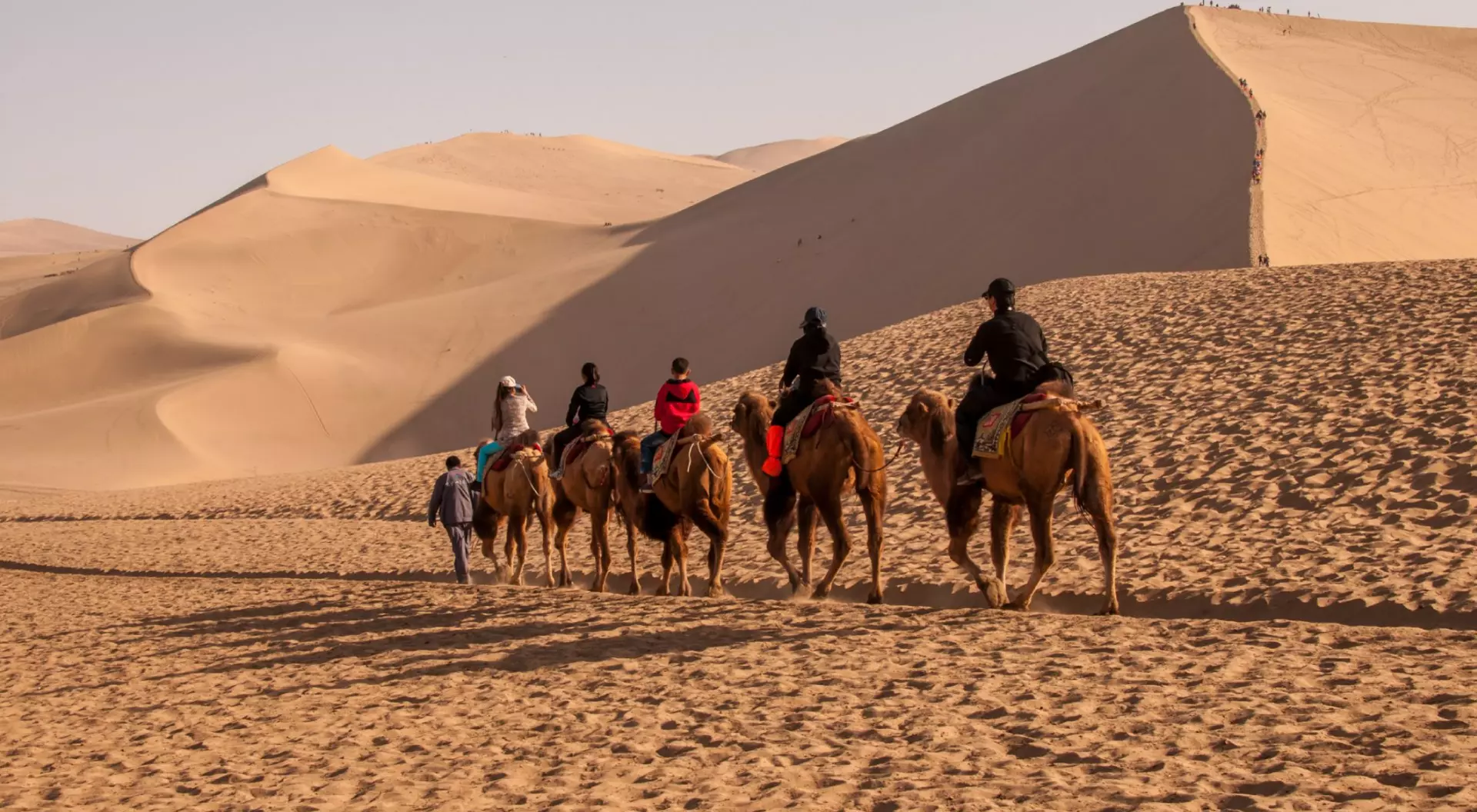 Camel Riding in the Deserts of Dunhuang, China